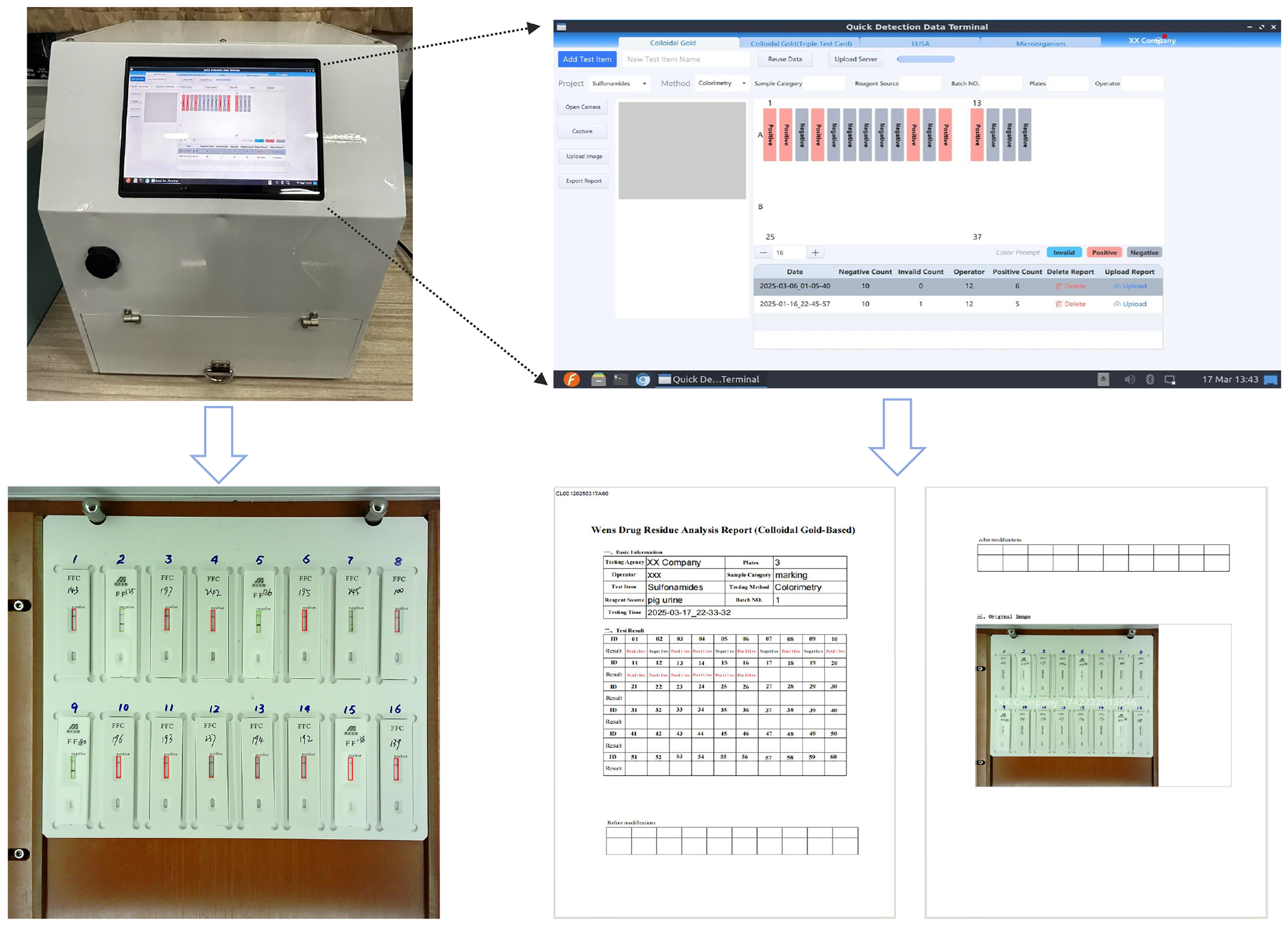 Antibiotics 14 00917 g008