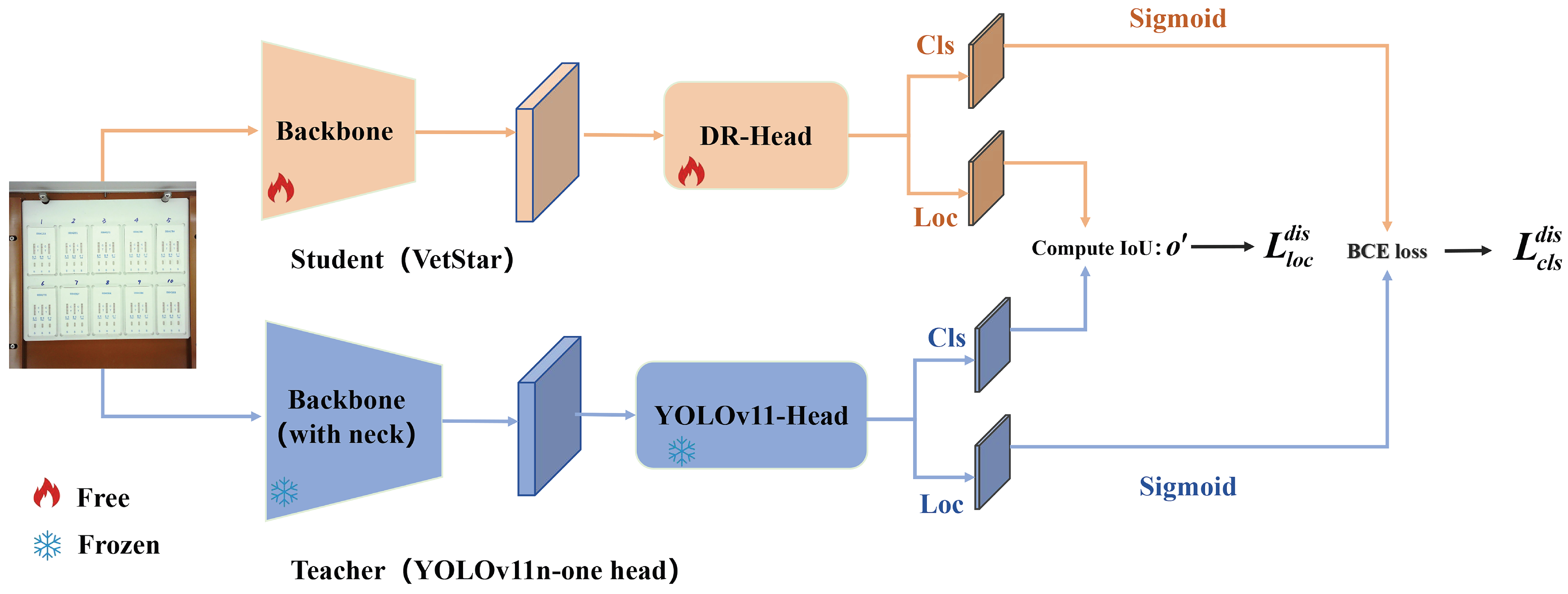 Antibiotics 14 00917 g012