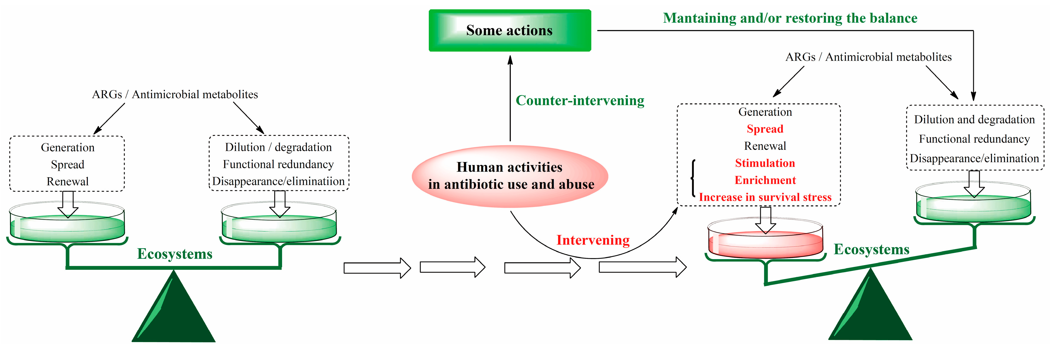 Antibiotics 14 00920 g004