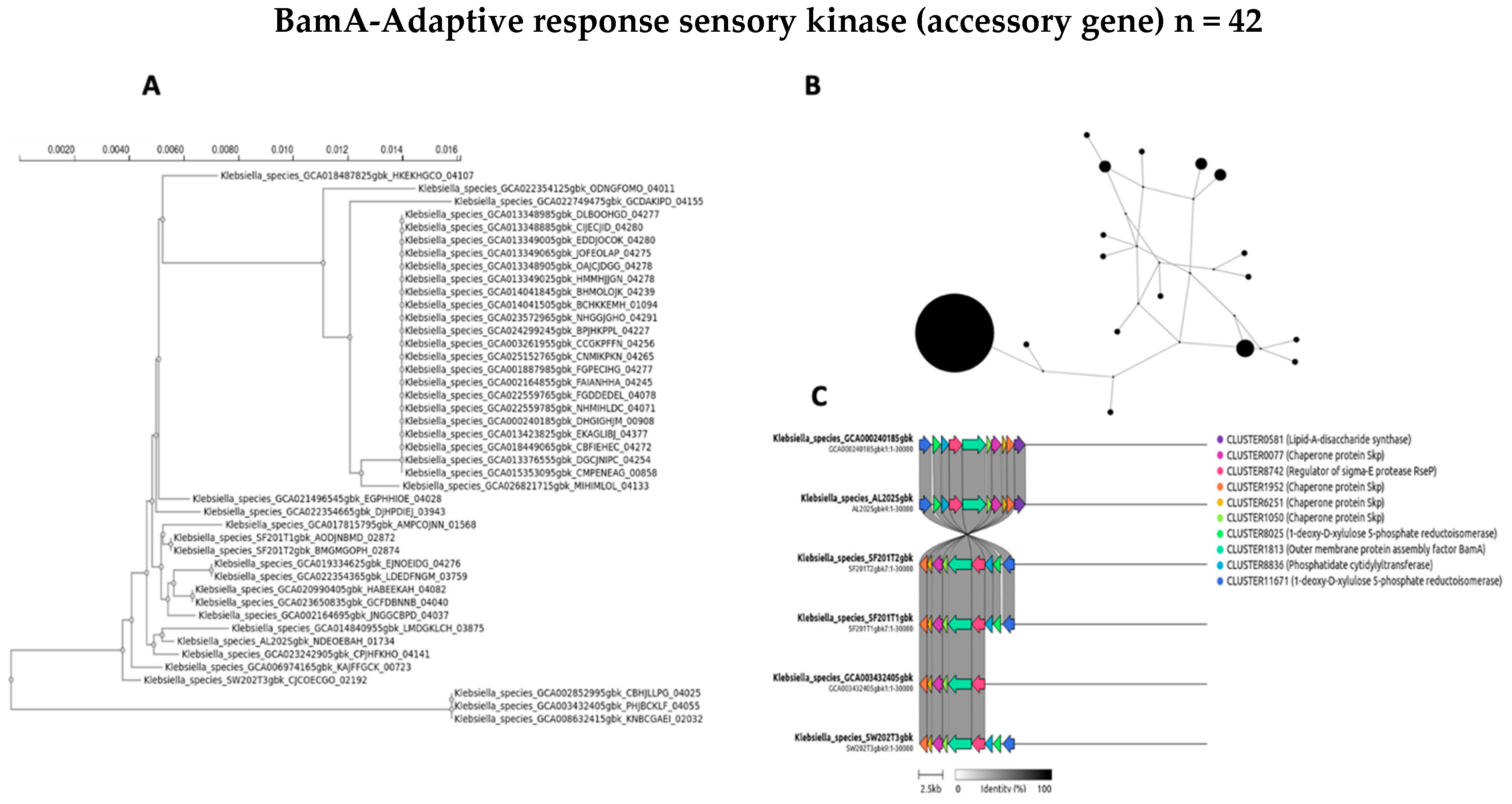 Antibiotics 14 00922 g009 Antibiotics 14 00922 g009