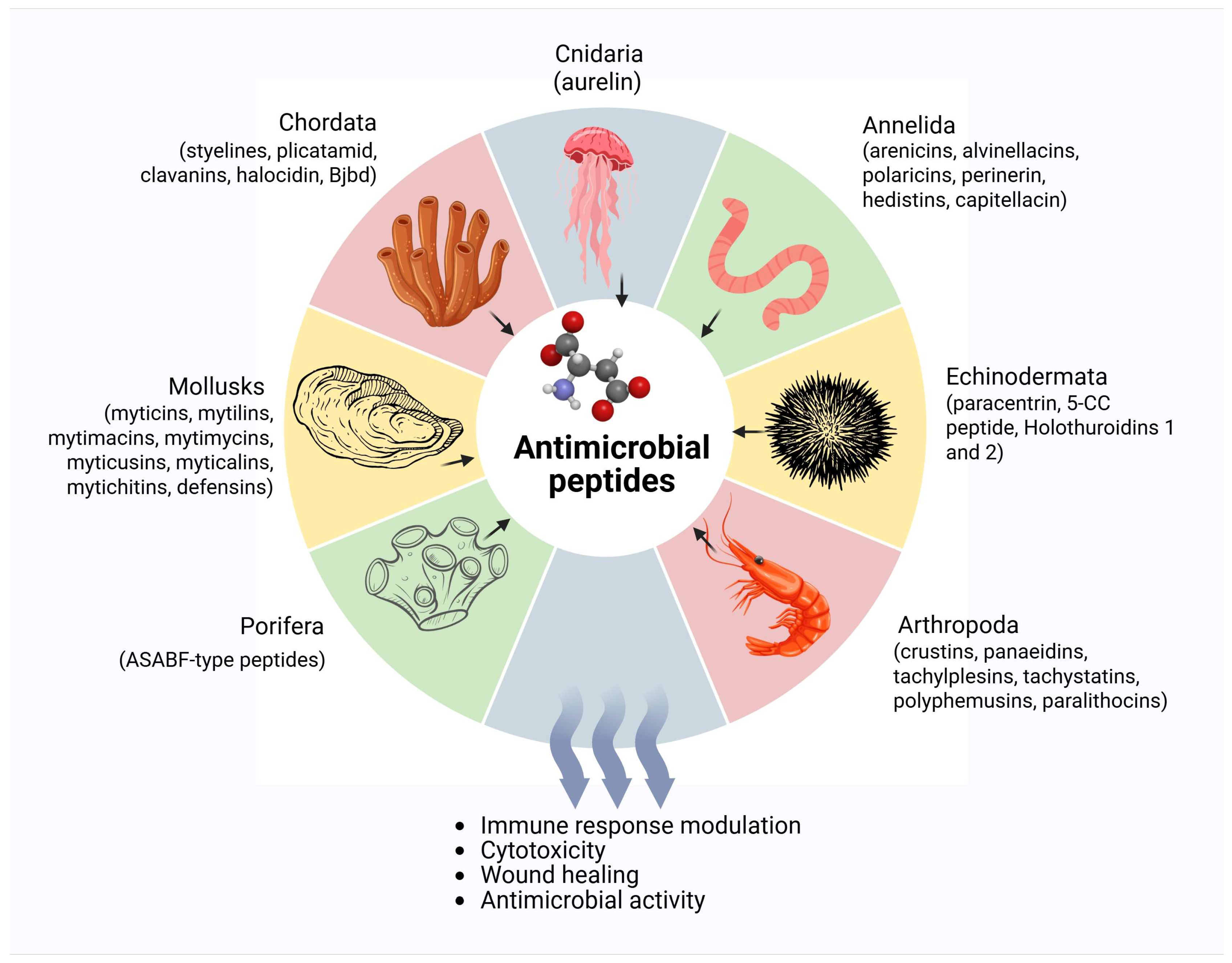 Antibiotics 14 00924 g001 Antibiotics 14 00924 g001