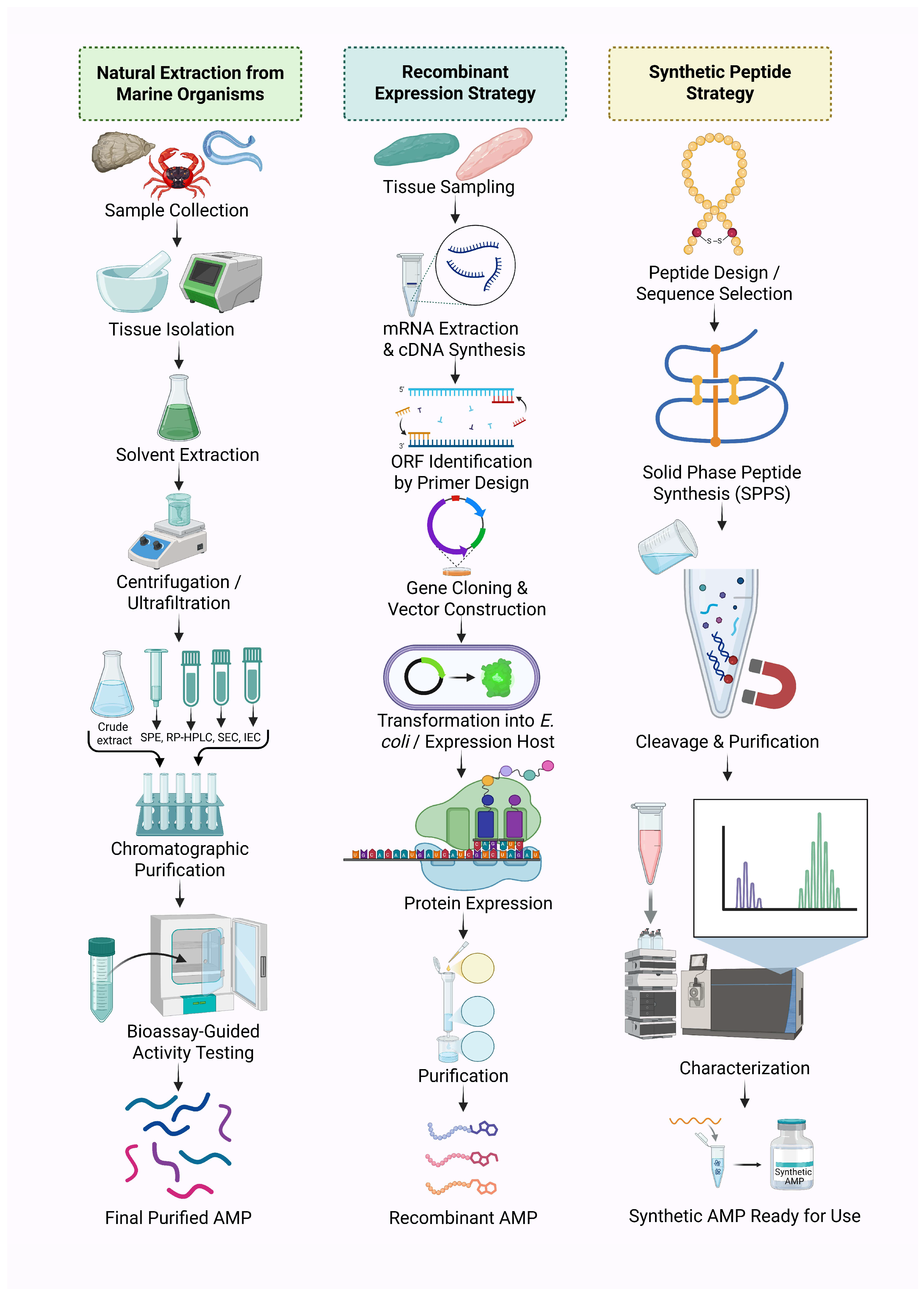Antibiotics 14 00924 g005 Antibiotics 14 00924 g005