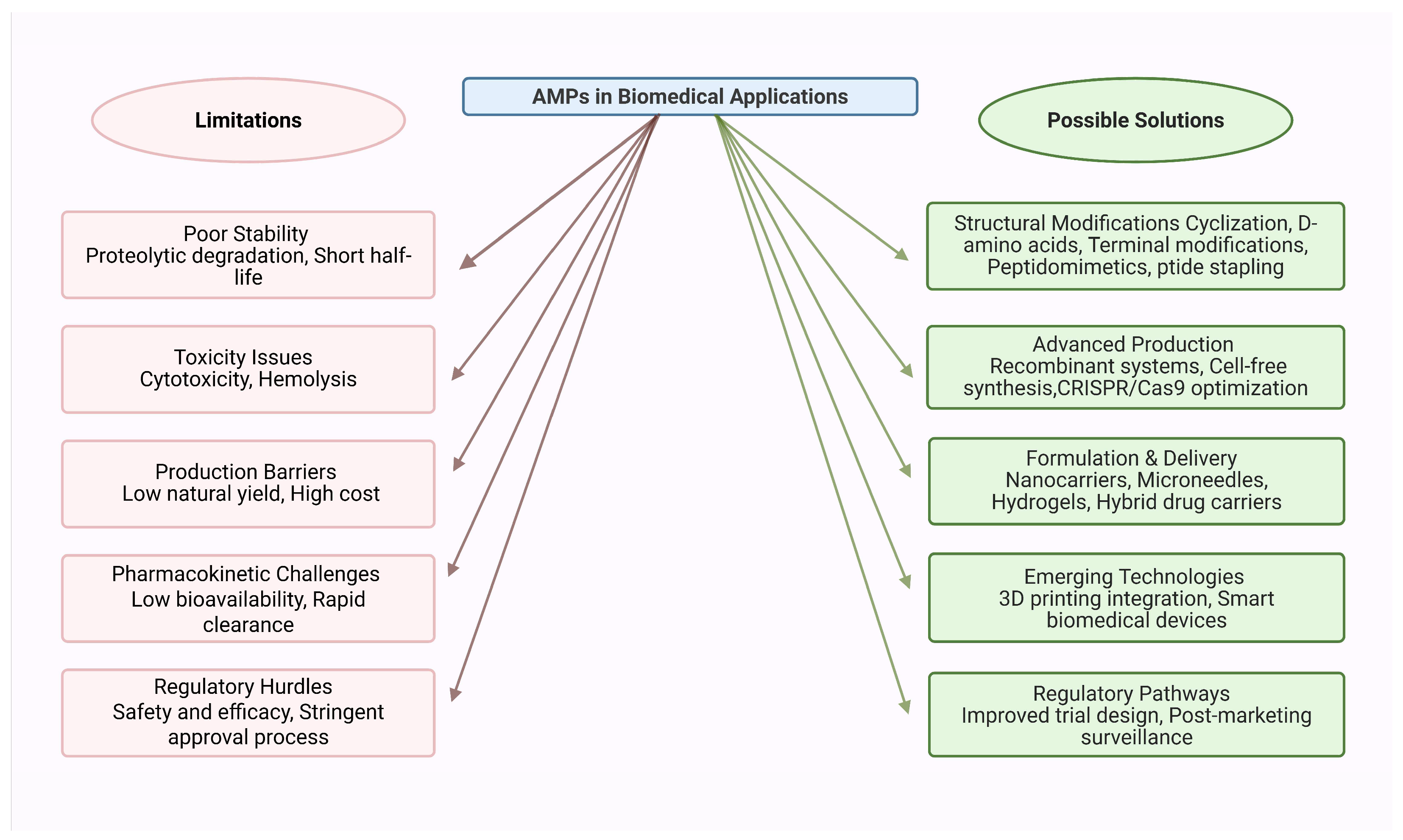 Antibiotics 14 00924 g008 Antibiotics 14 00924 g008