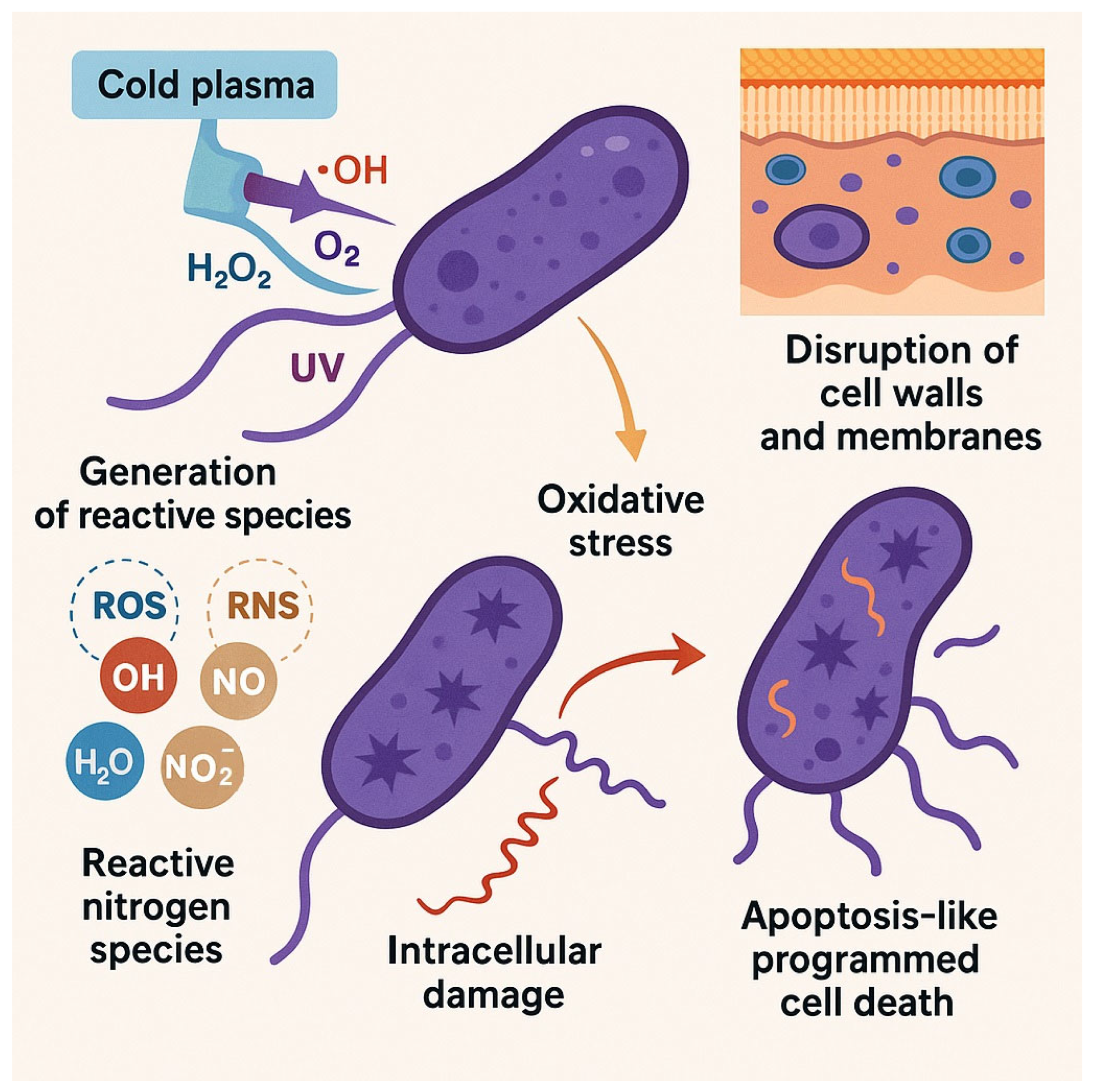 Antibiotics 14 00930 g002