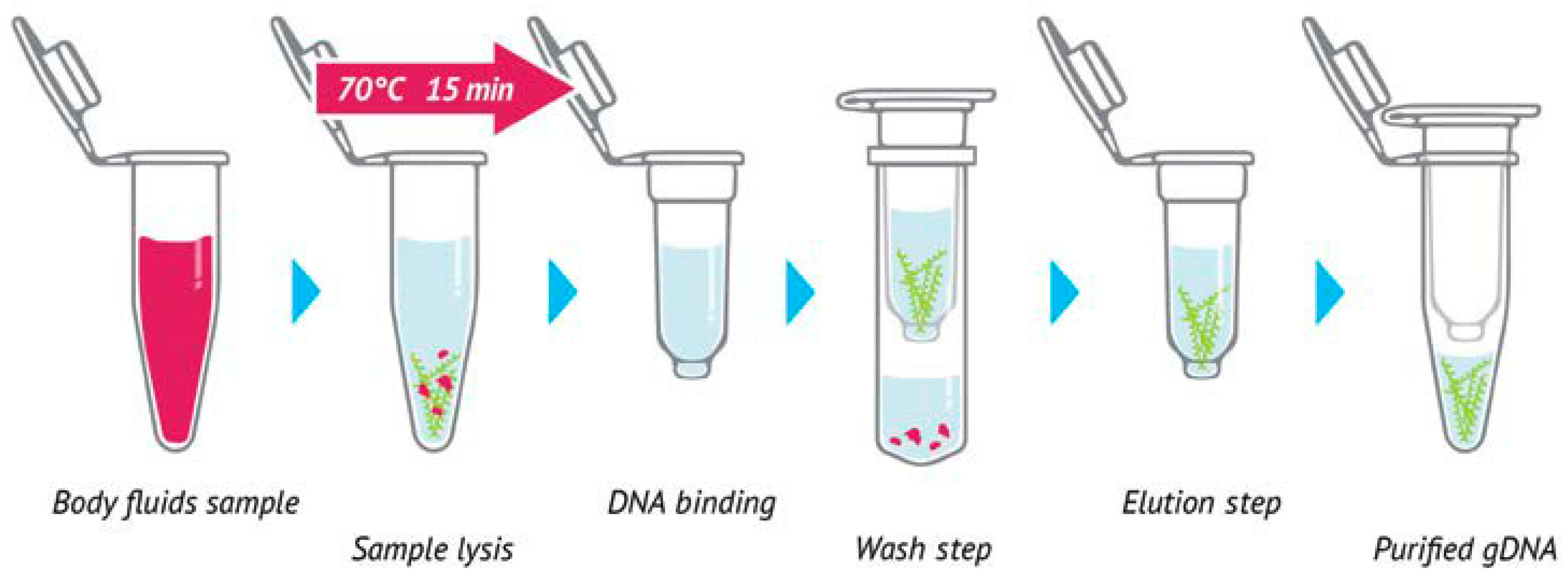 Antibiotics 14 00937 g003