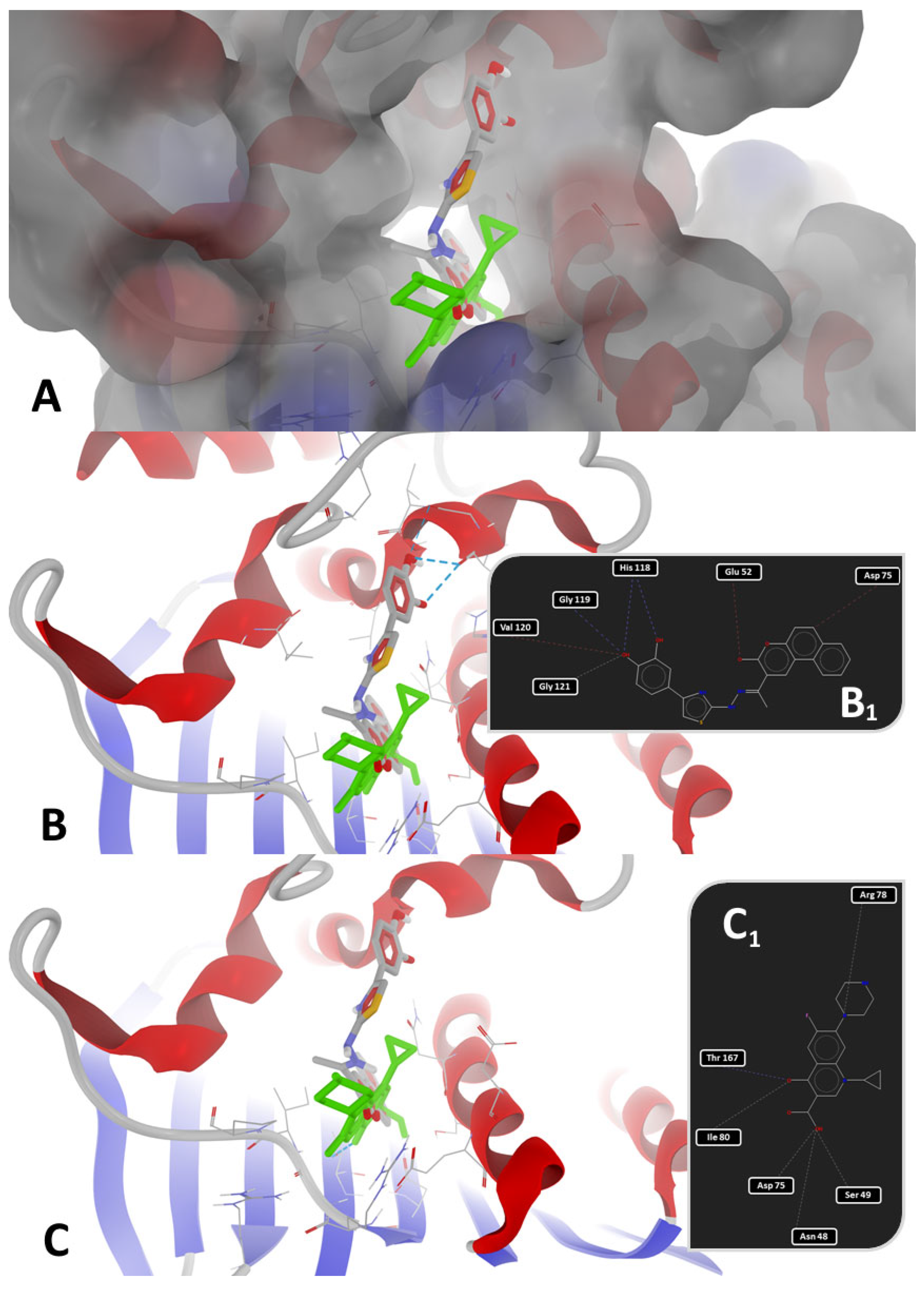 Antibiotics 14 00943 g004 Antibiotics 14 00943 g004