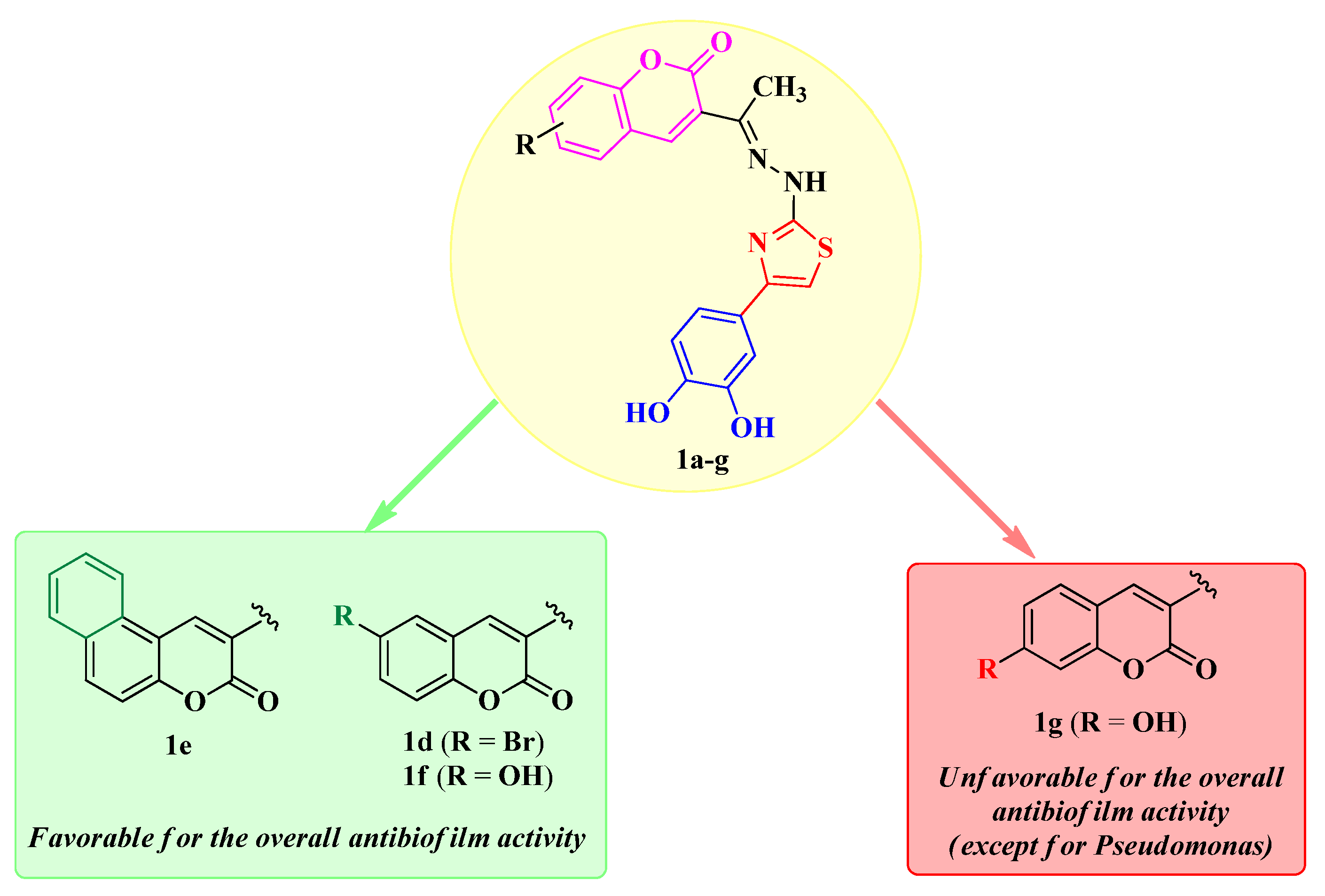 Antibiotics 14 00943 g008 Antibiotics 14 00943 g008