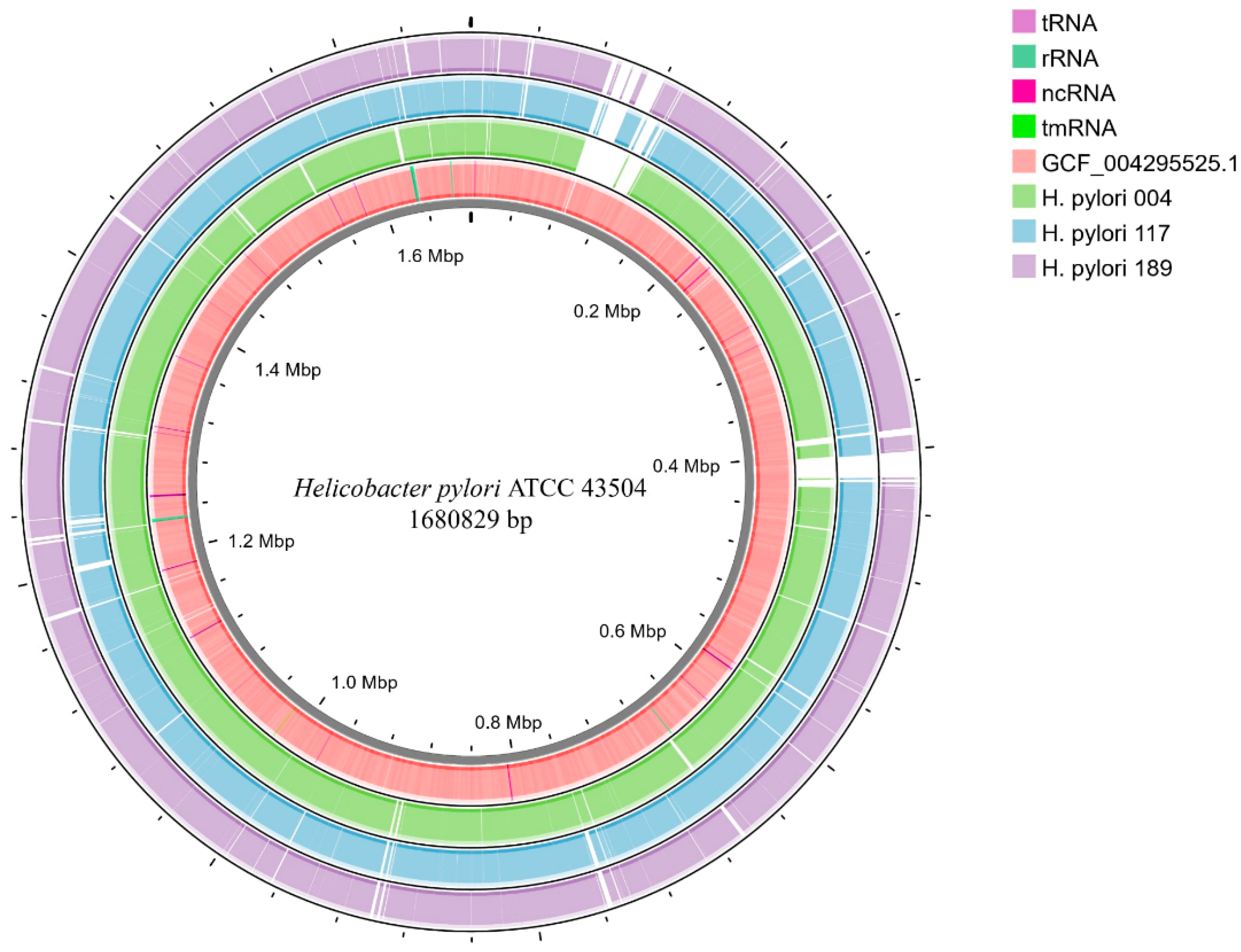 Antibiotics 14 00944 g002