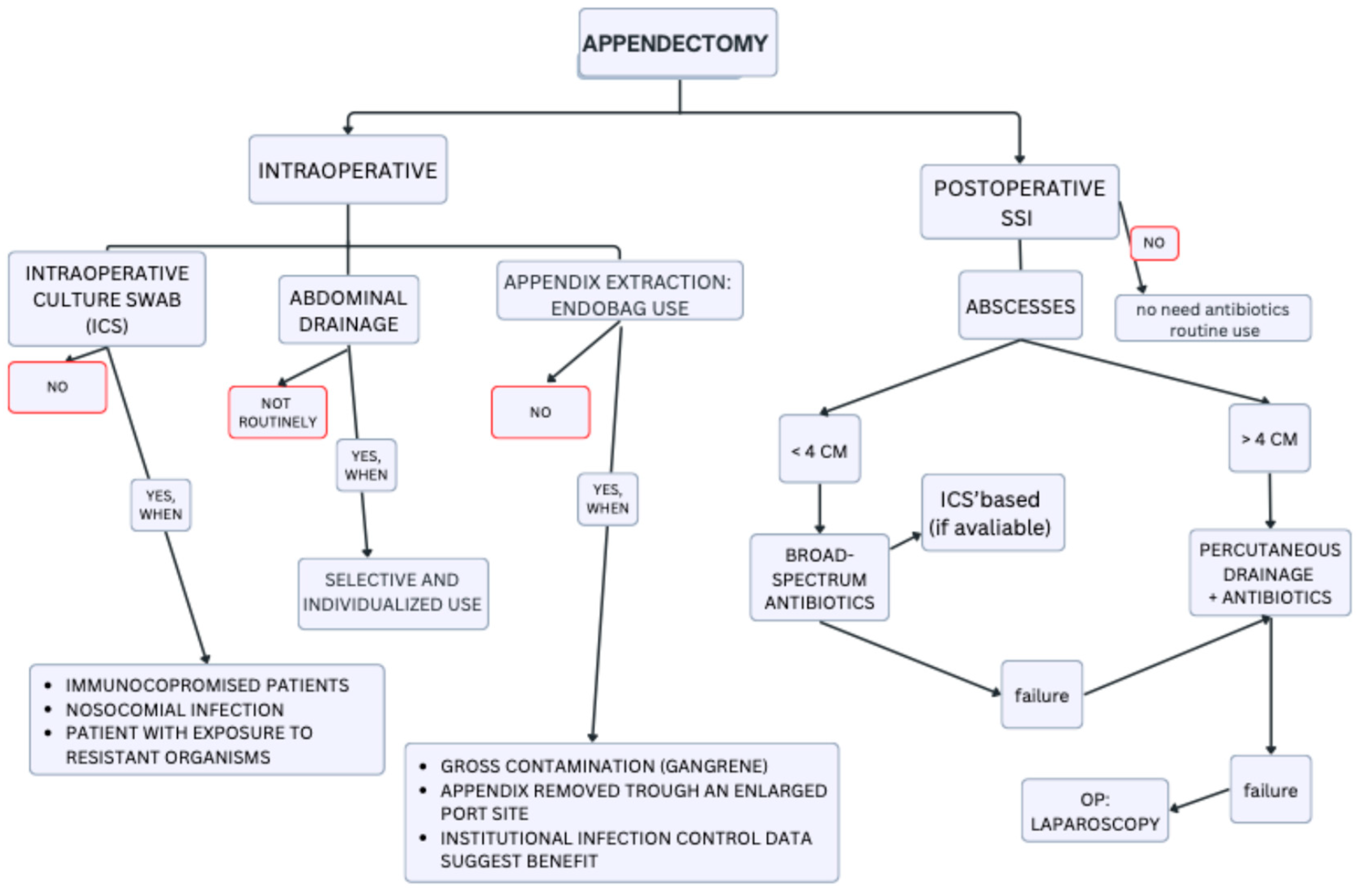 Antibiotics 14 00954 g001