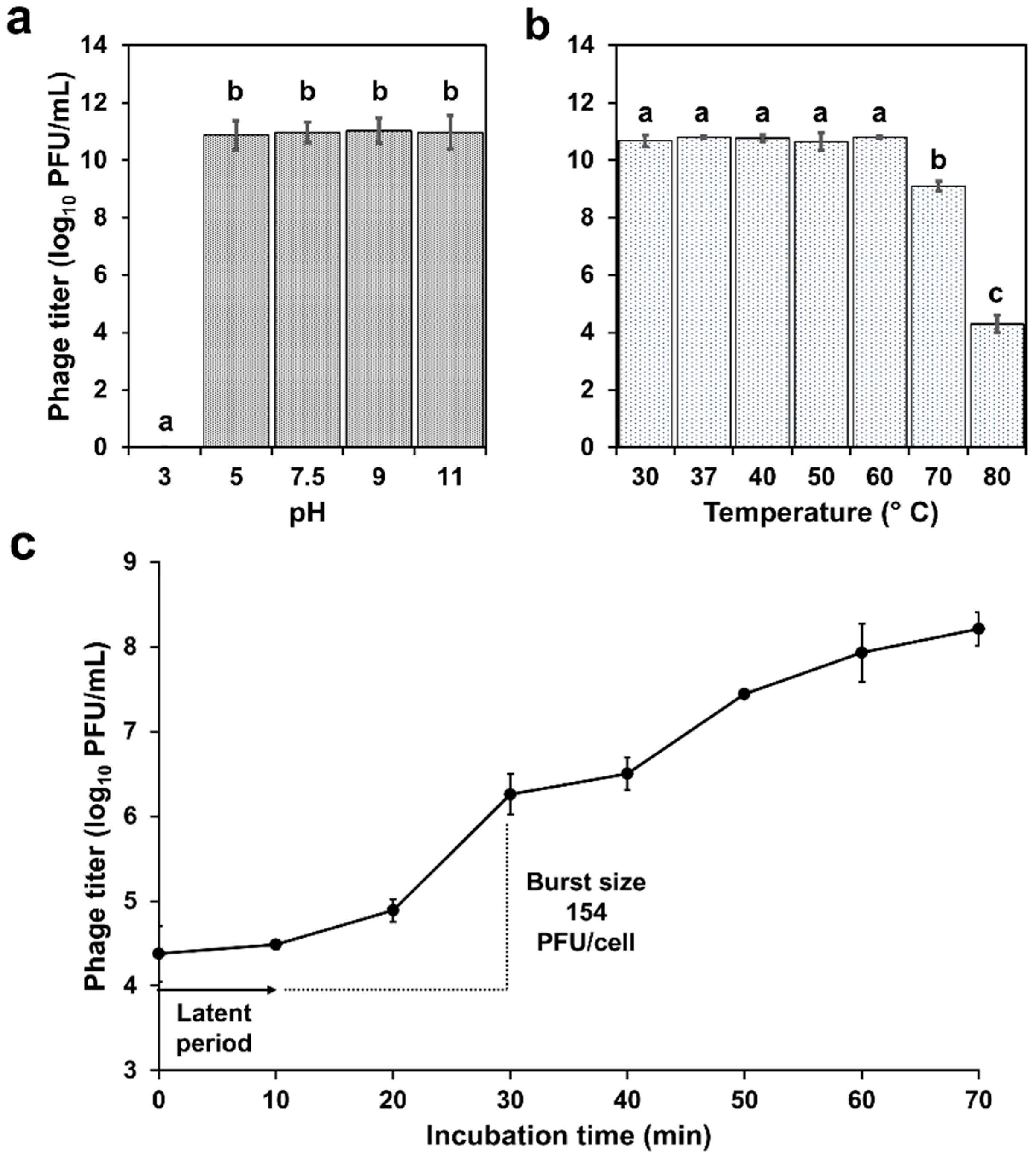 Antibiotics 14 00961 g002