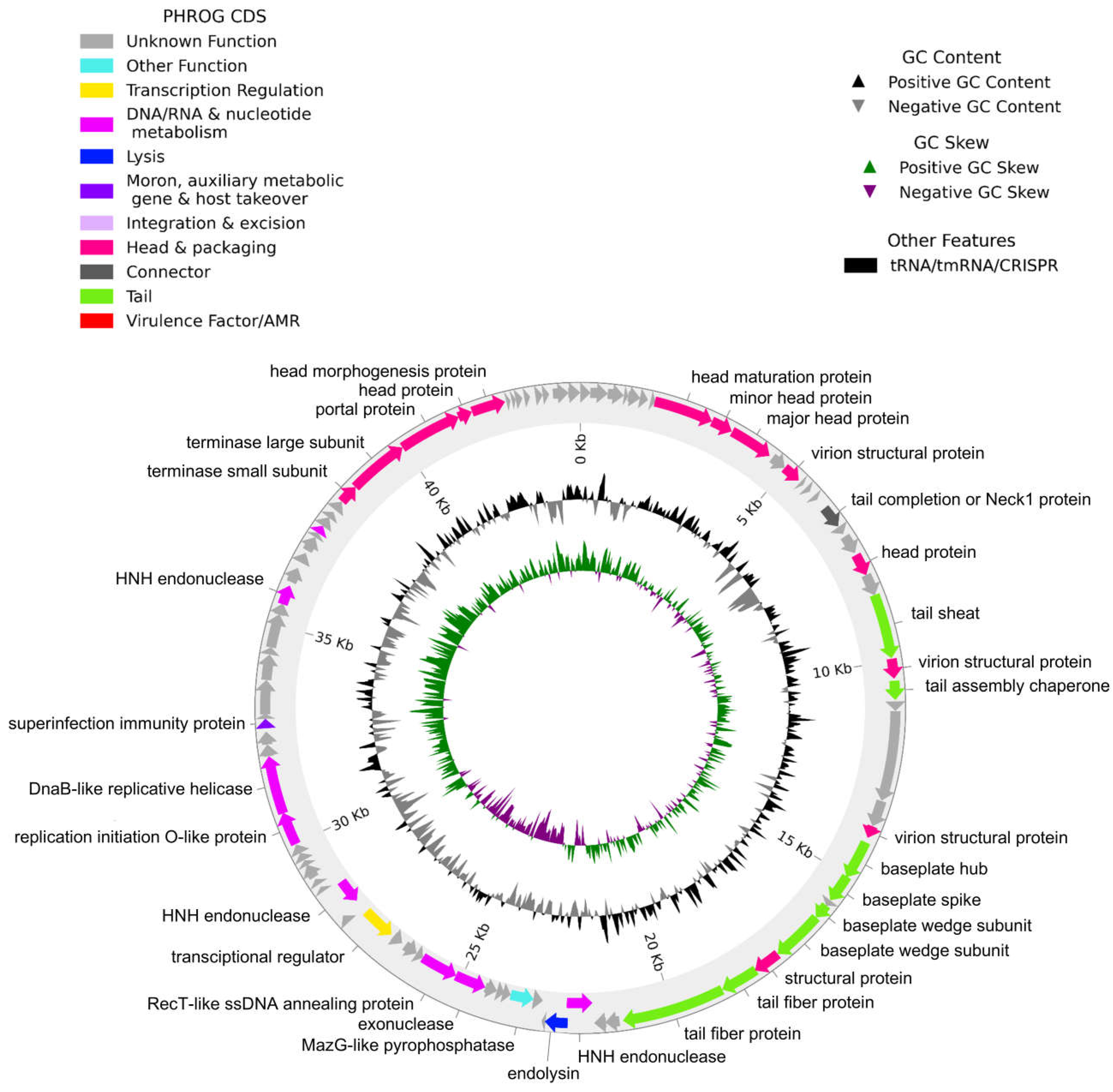Antibiotics 14 00961 g004