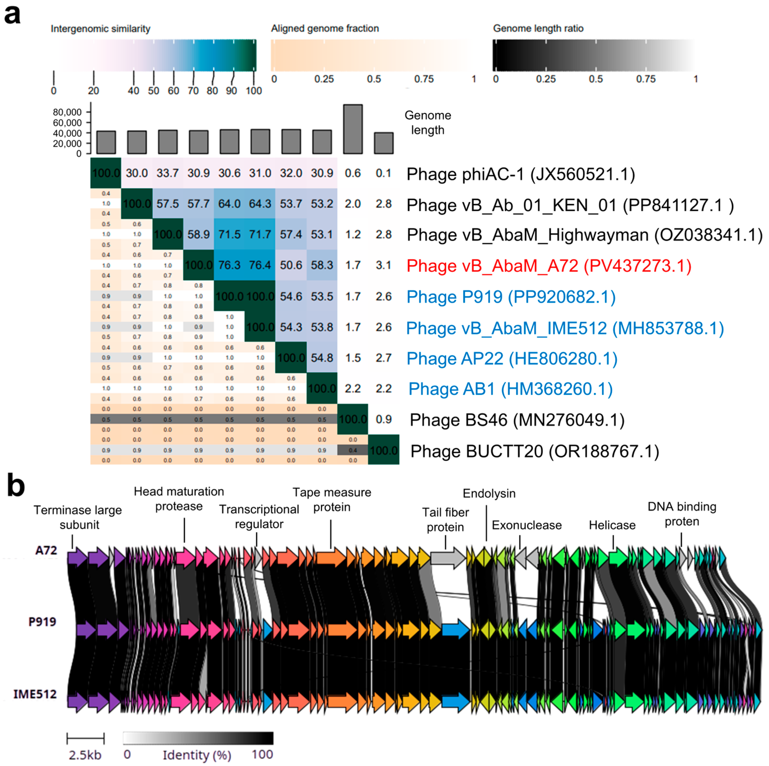 Antibiotics 14 00961 g005