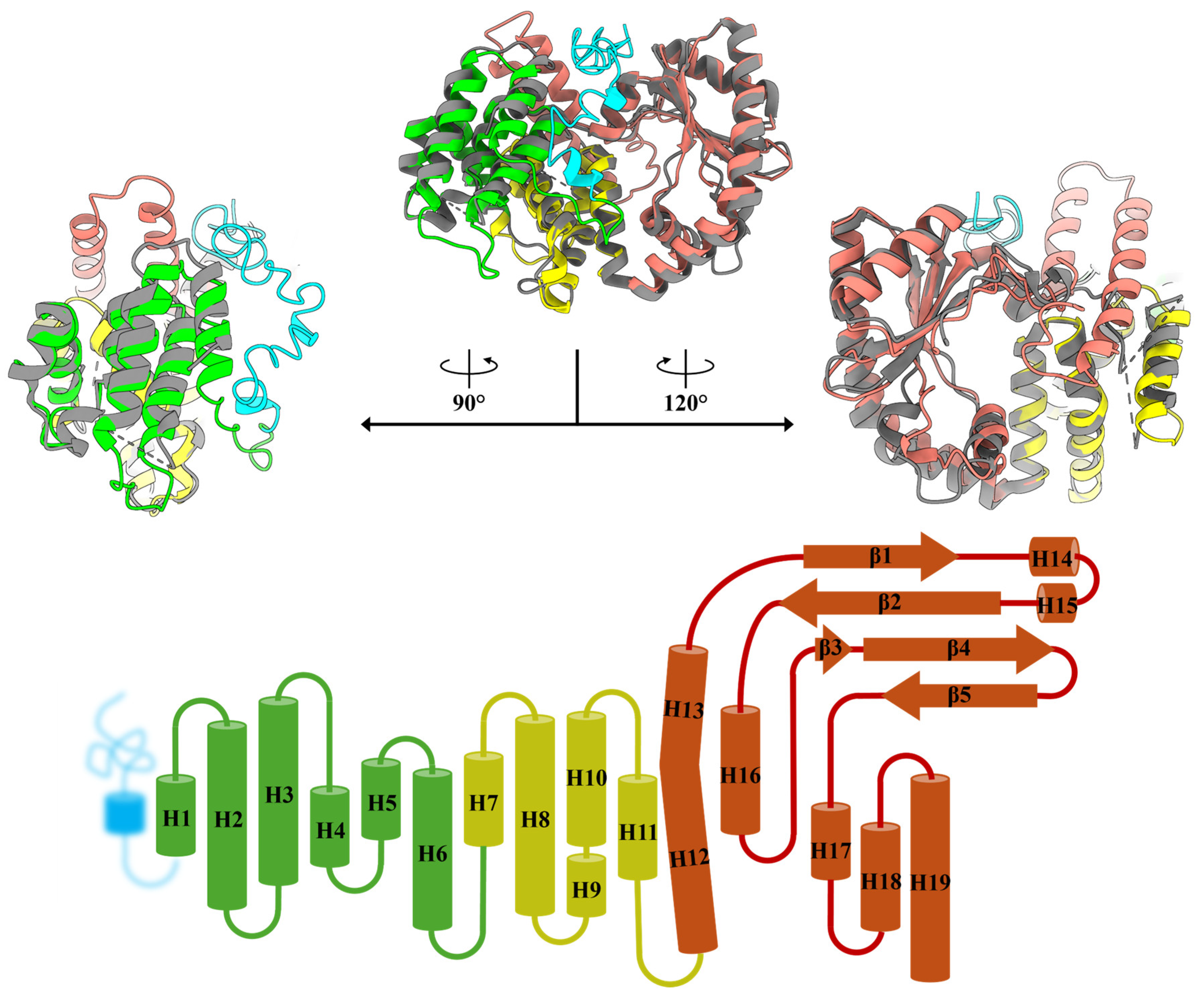 Antibiotics 14 00964 g002 Antibiotics 14 00964 g002