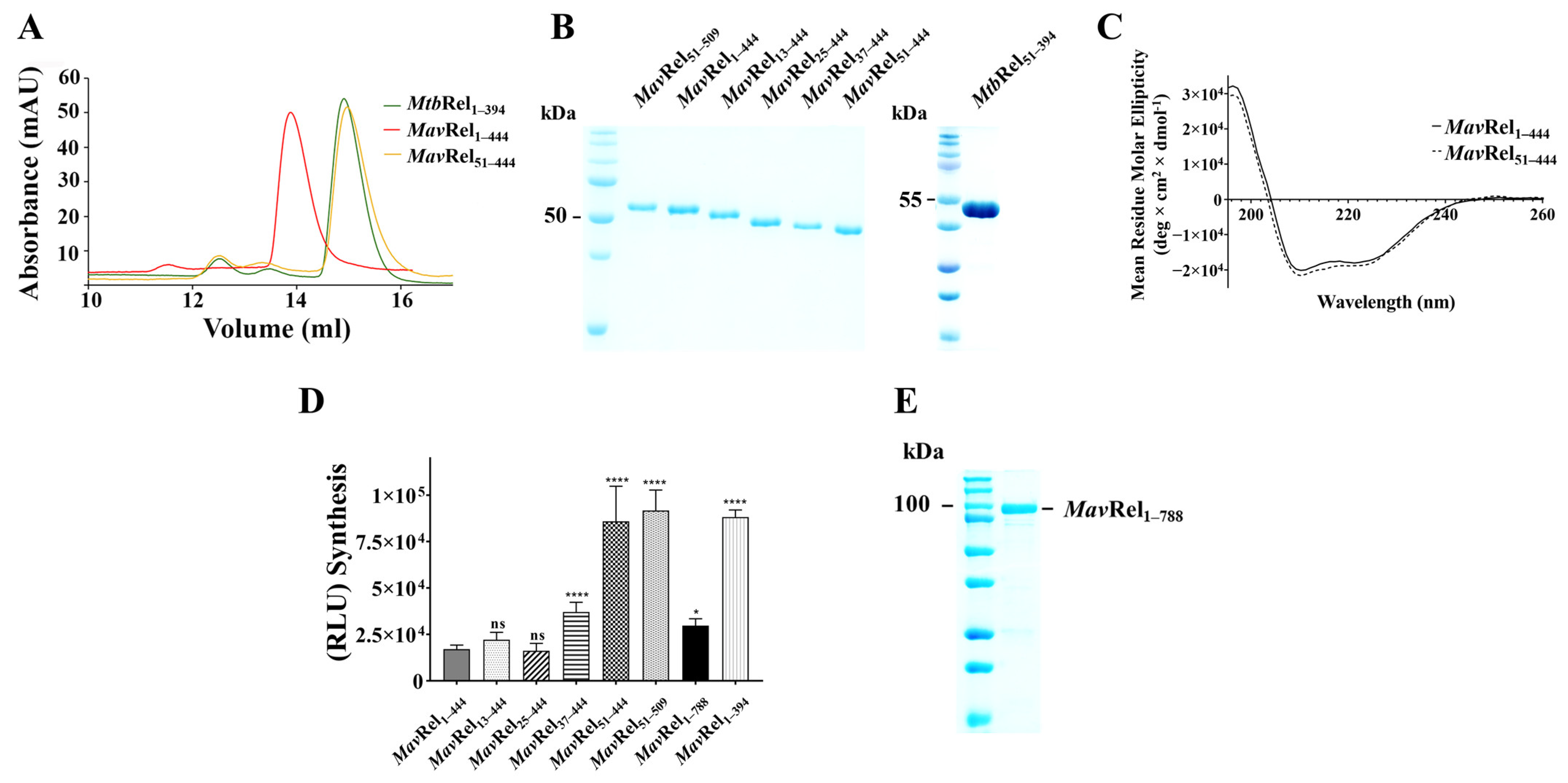 Antibiotics 14 00964 g004 Antibiotics 14 00964 g004