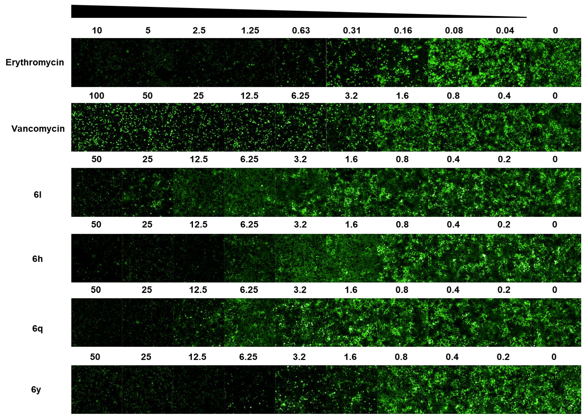 Antibiotics 14 00967 g004