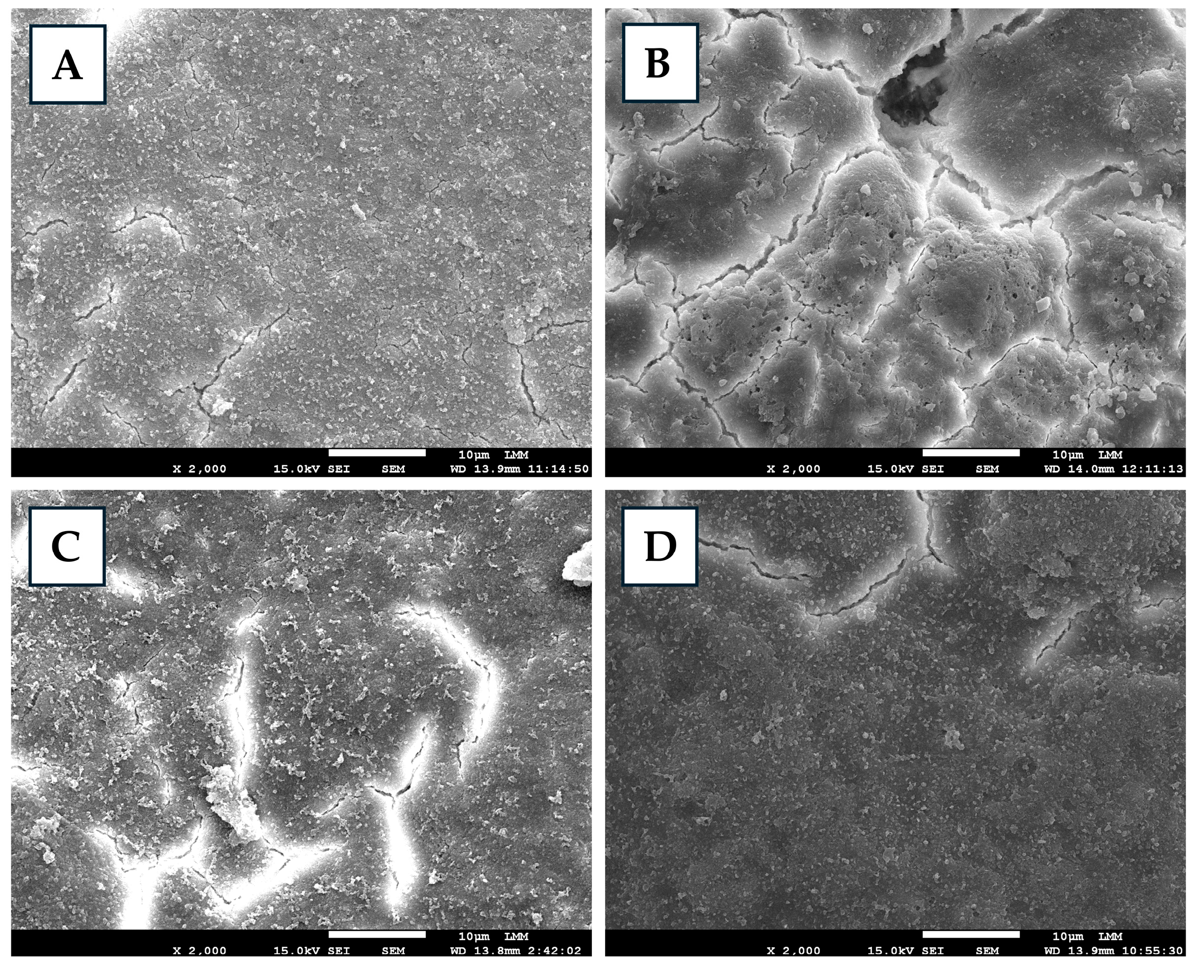 Antibiotics 14 00972 g001