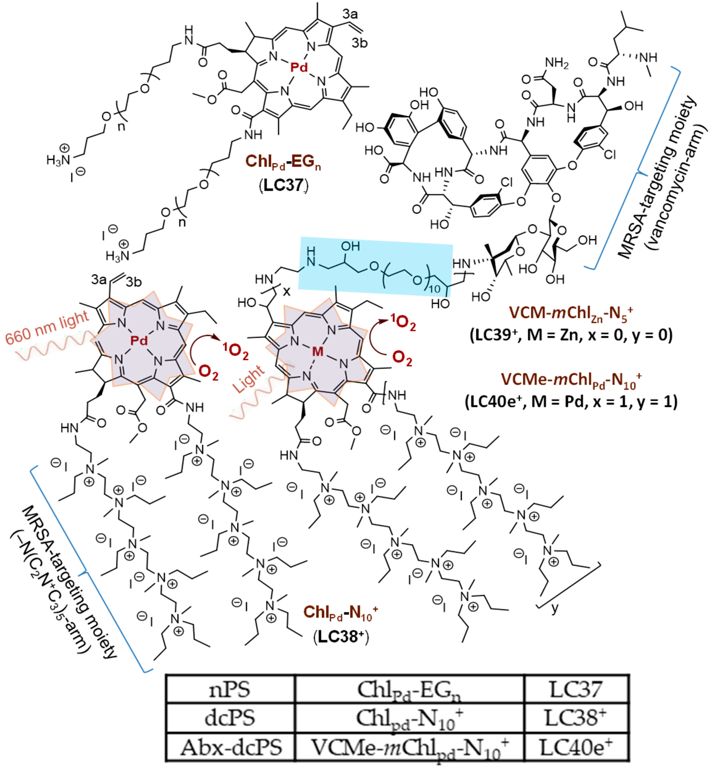 Antibiotics 14 00978 g001 Antibiotics 14 00978 g001