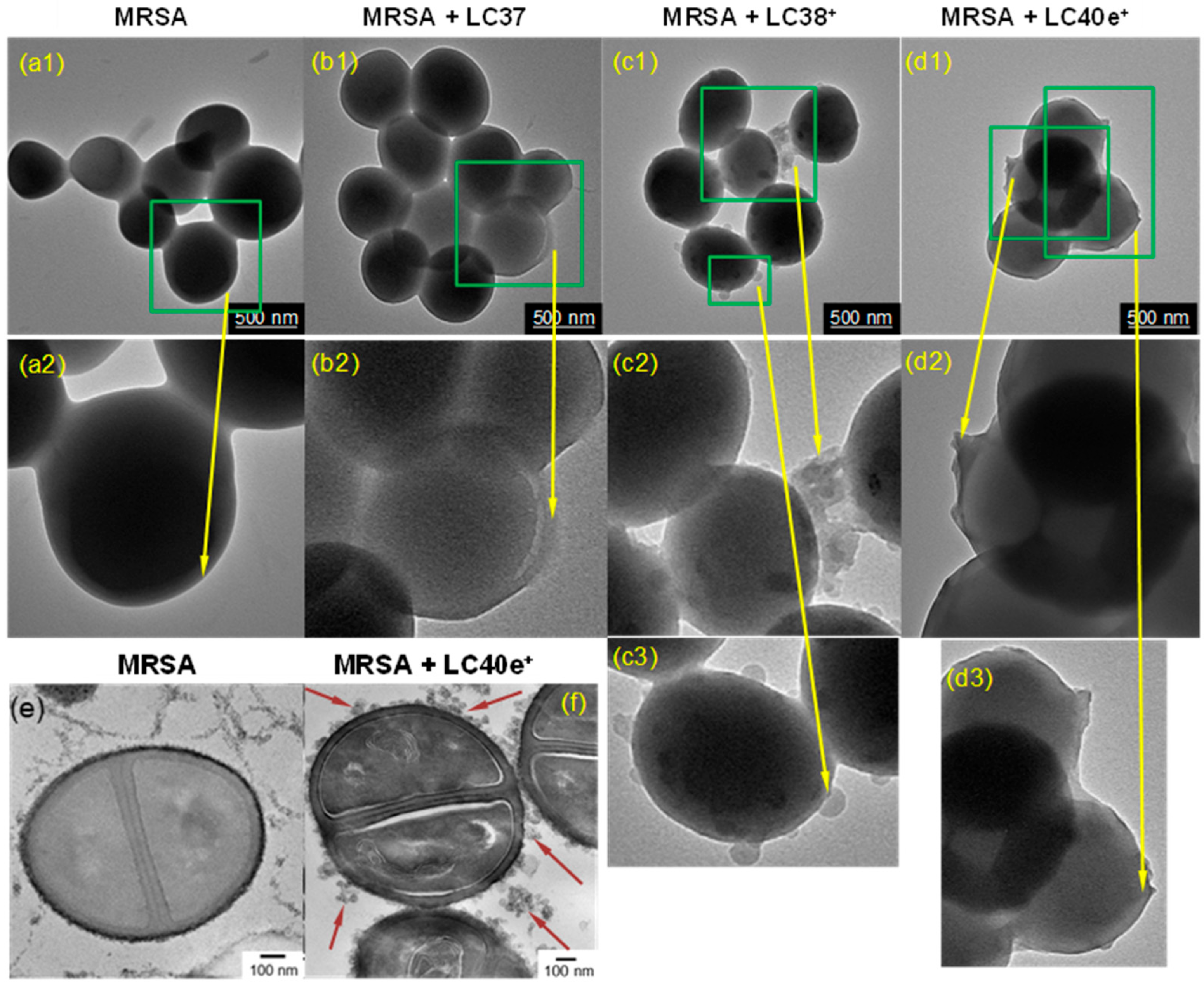 Antibiotics 14 00978 g003 Antibiotics 14 00978 g003