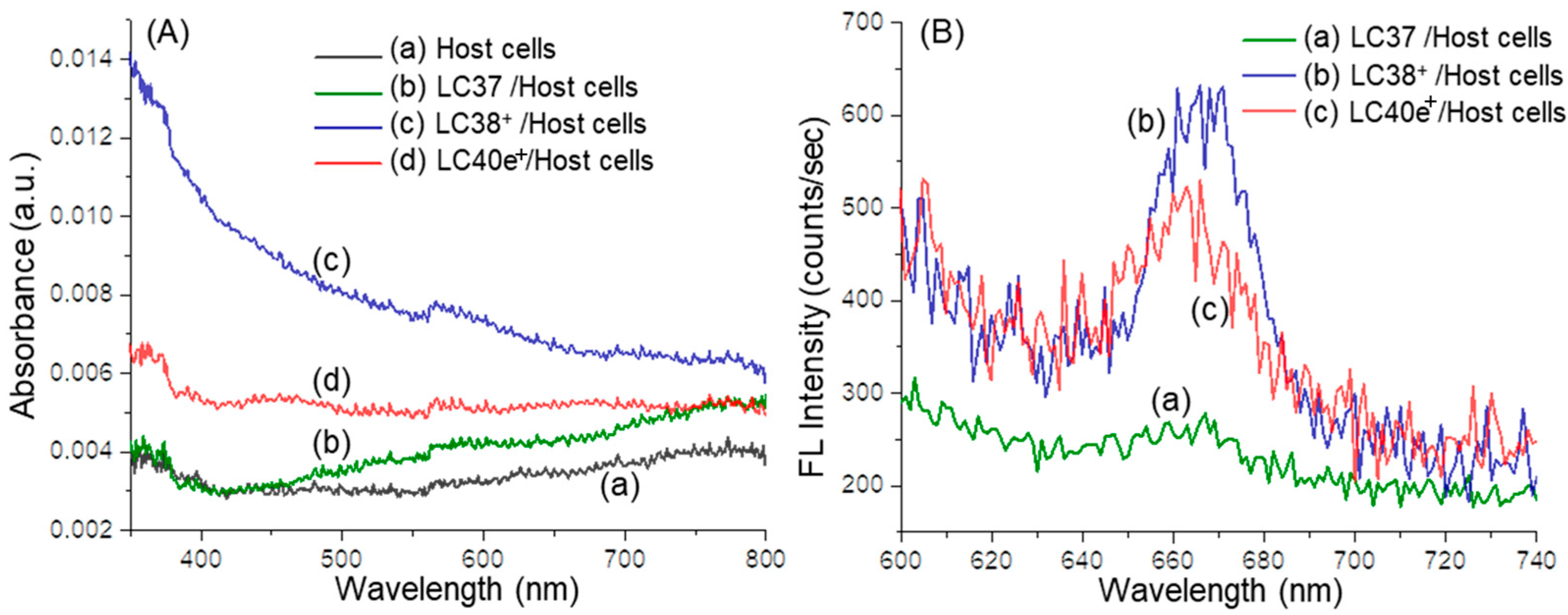 Antibiotics 14 00978 g005 Antibiotics 14 00978 g005
