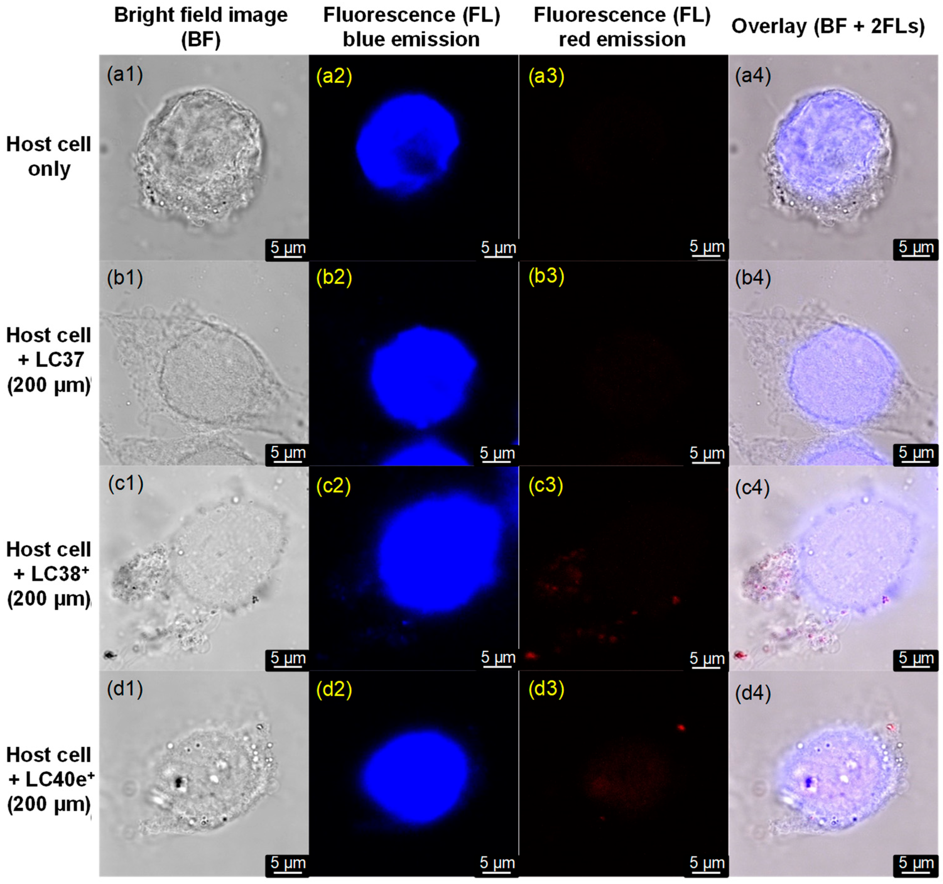 Antibiotics 14 00978 g006 Antibiotics 14 00978 g006