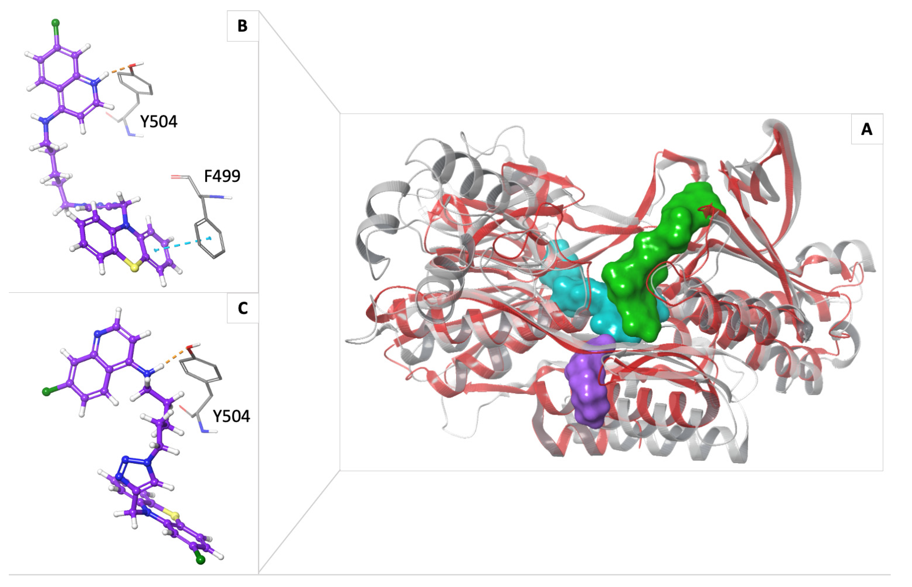 Antibiotics 14 00991 g005 Antibiotics 14 00991 g005