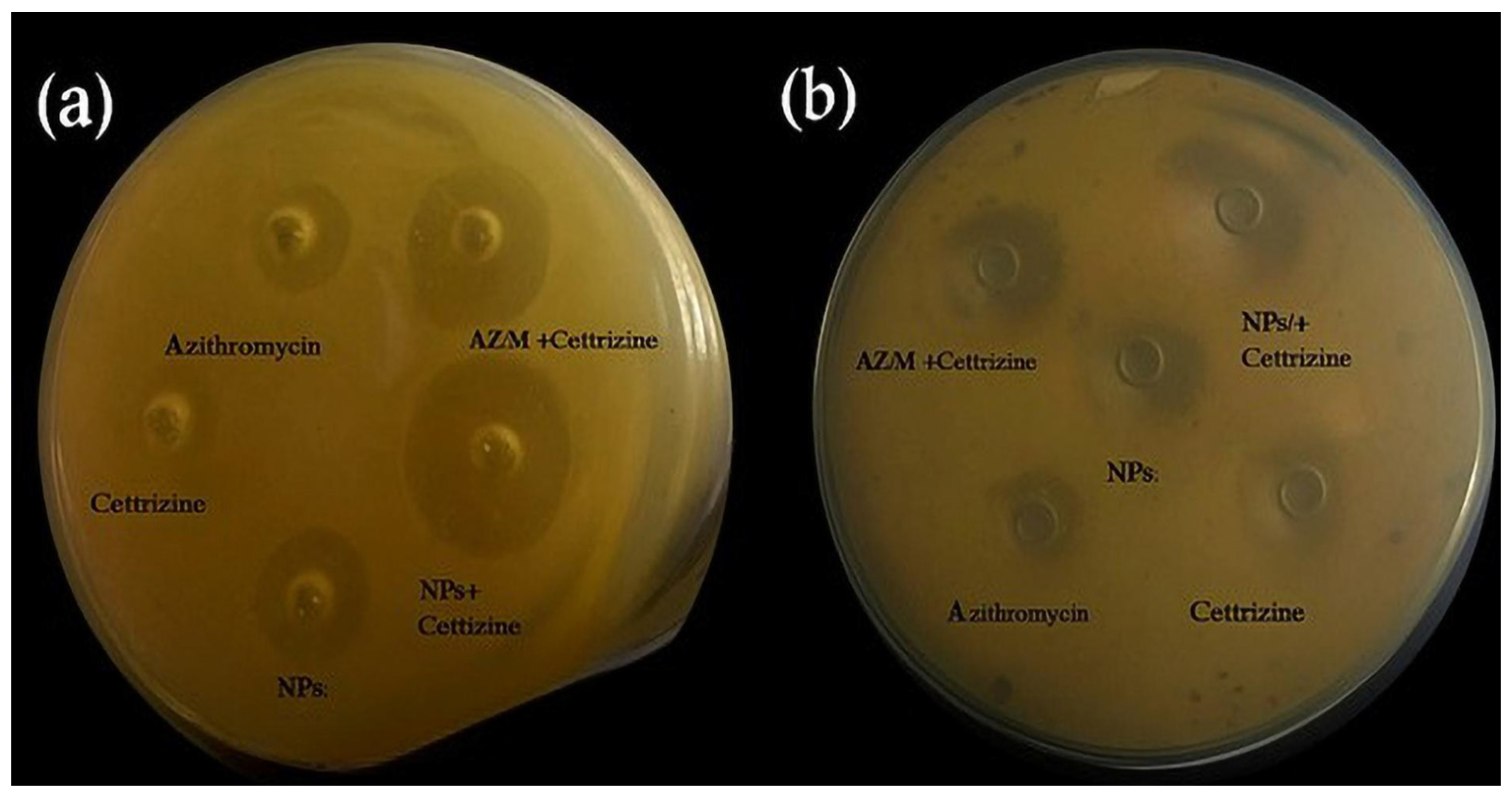 Antibiotics 14 00992 g001 Antibiotics 14 00992 g001