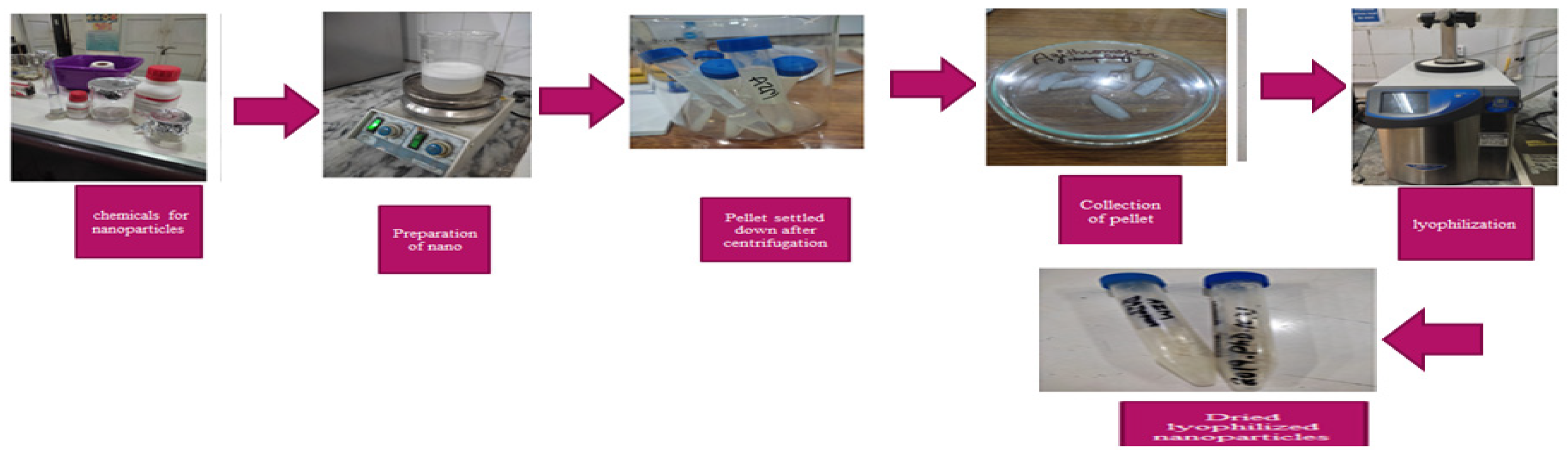 Antibiotics 14 00992 g004 Antibiotics 14 00992 g004