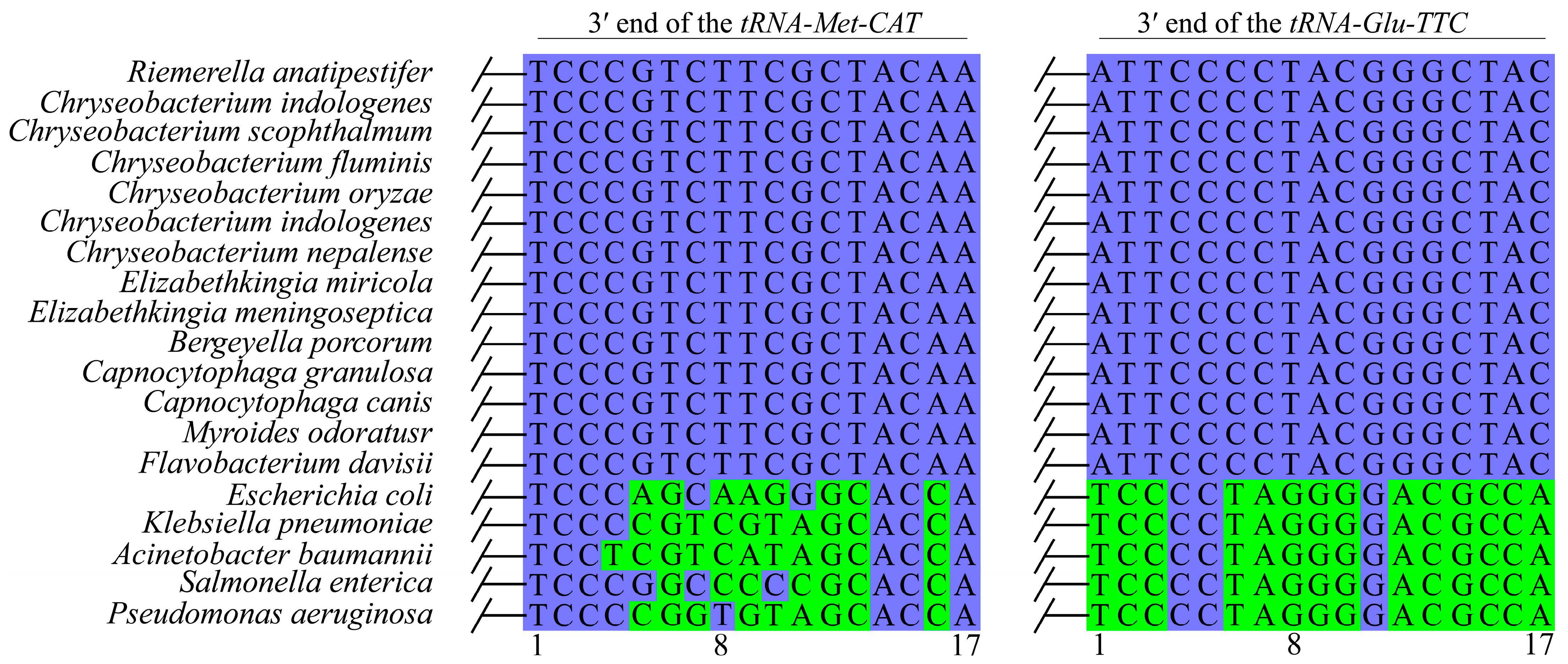 Antibiotics 14 01002 g003 Antibiotics 14 01002 g003