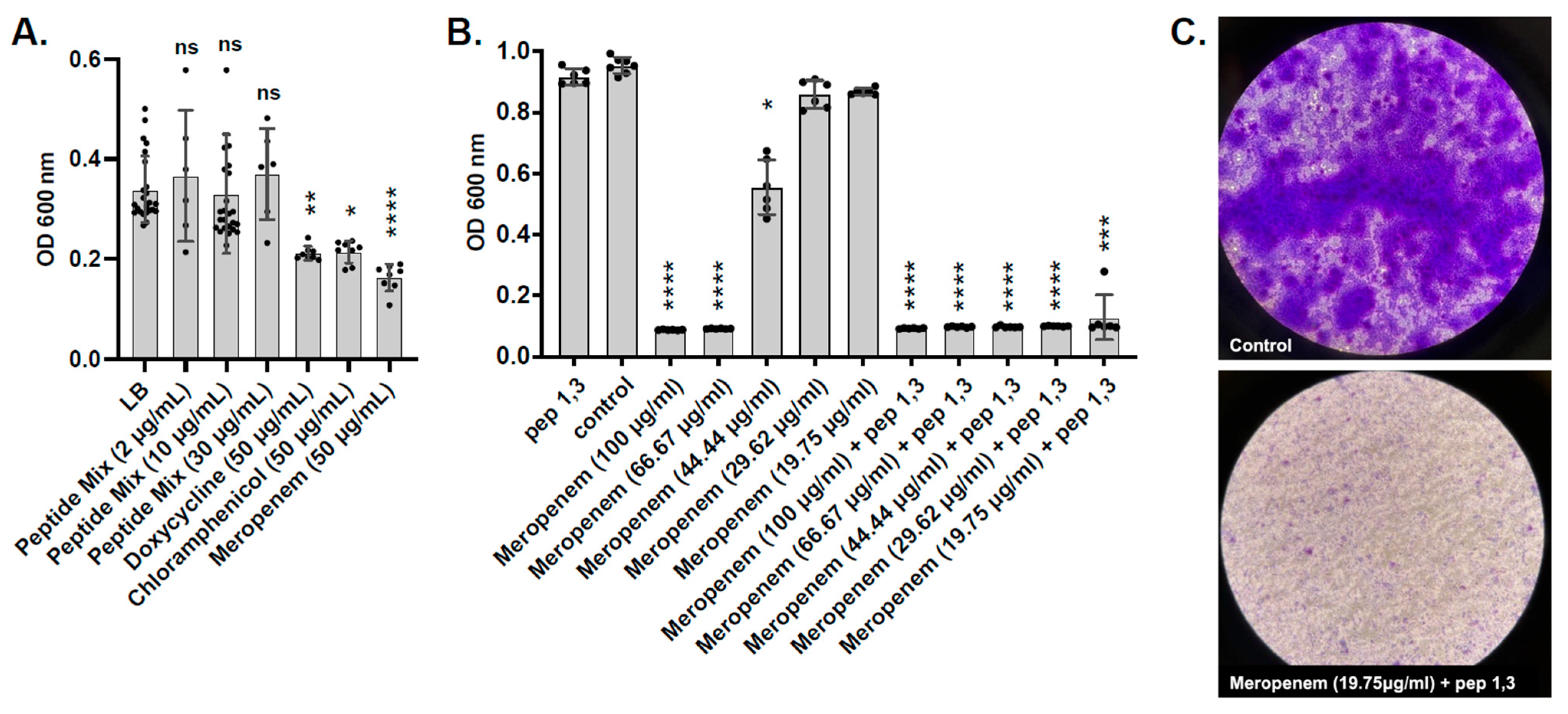 Antibiotics 14 01004 g006