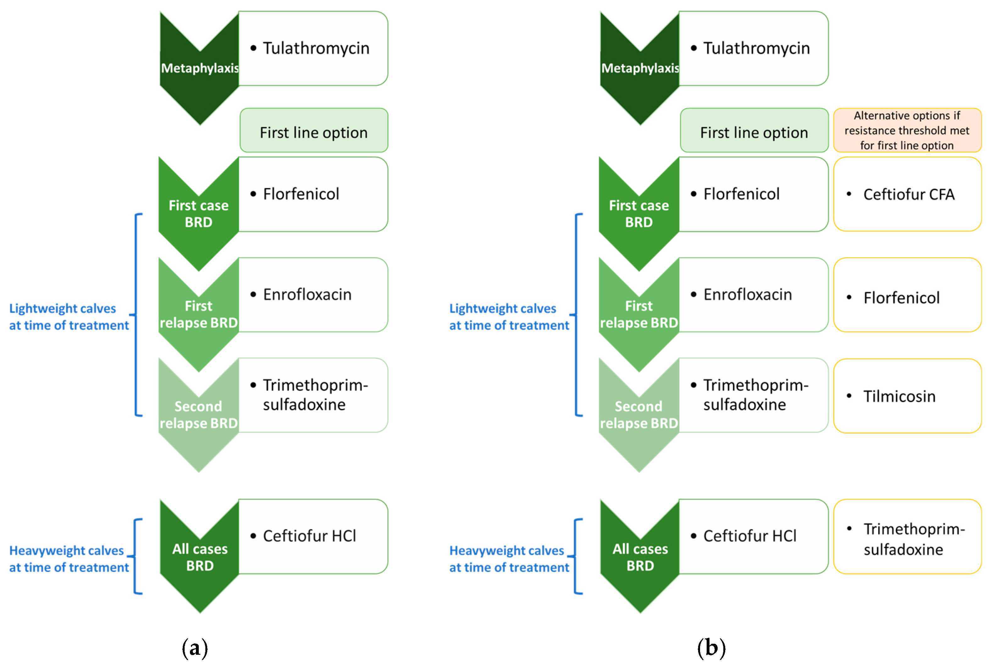 Antibiotics 14 01009 g001