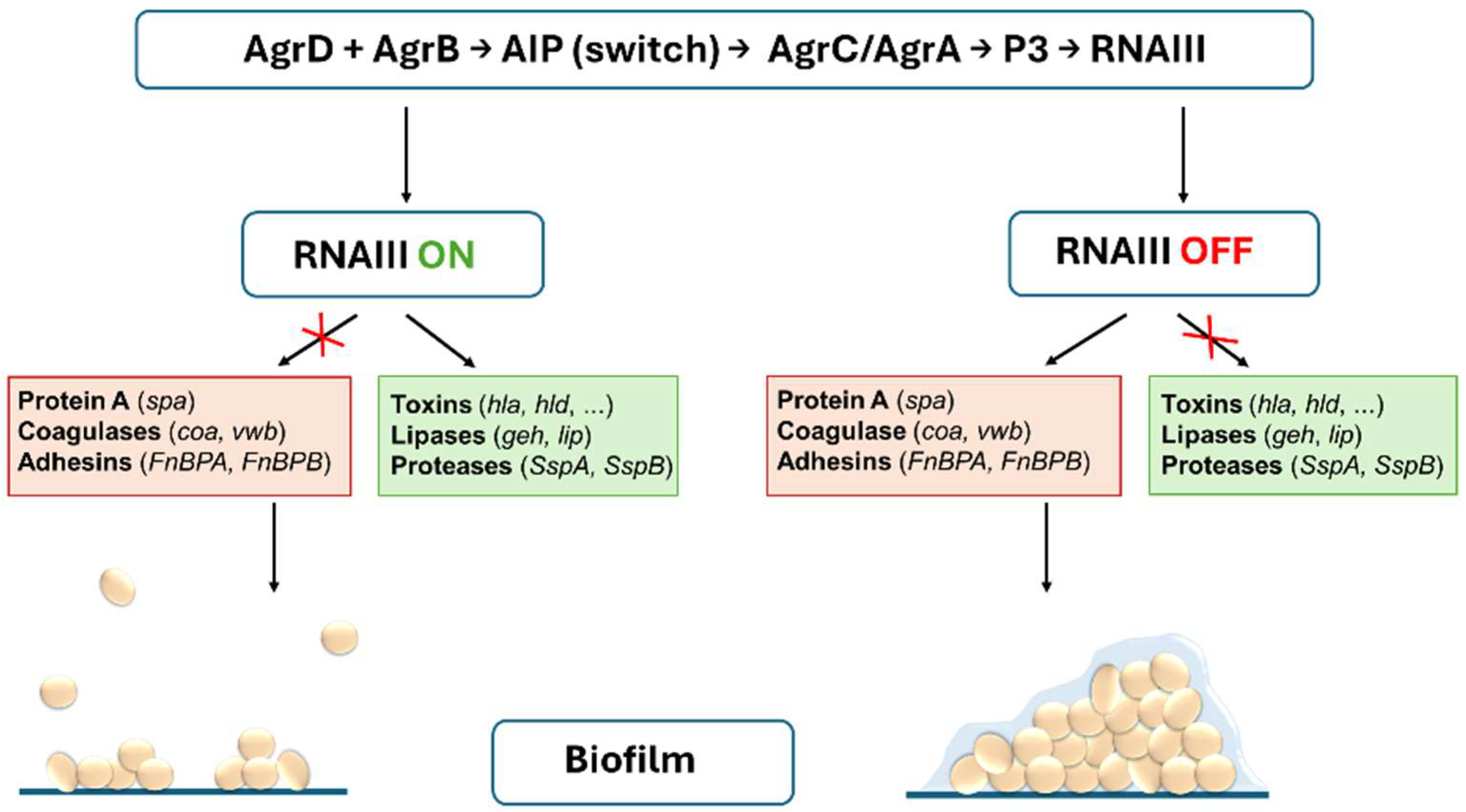 Antibiotics 14 01010 g001