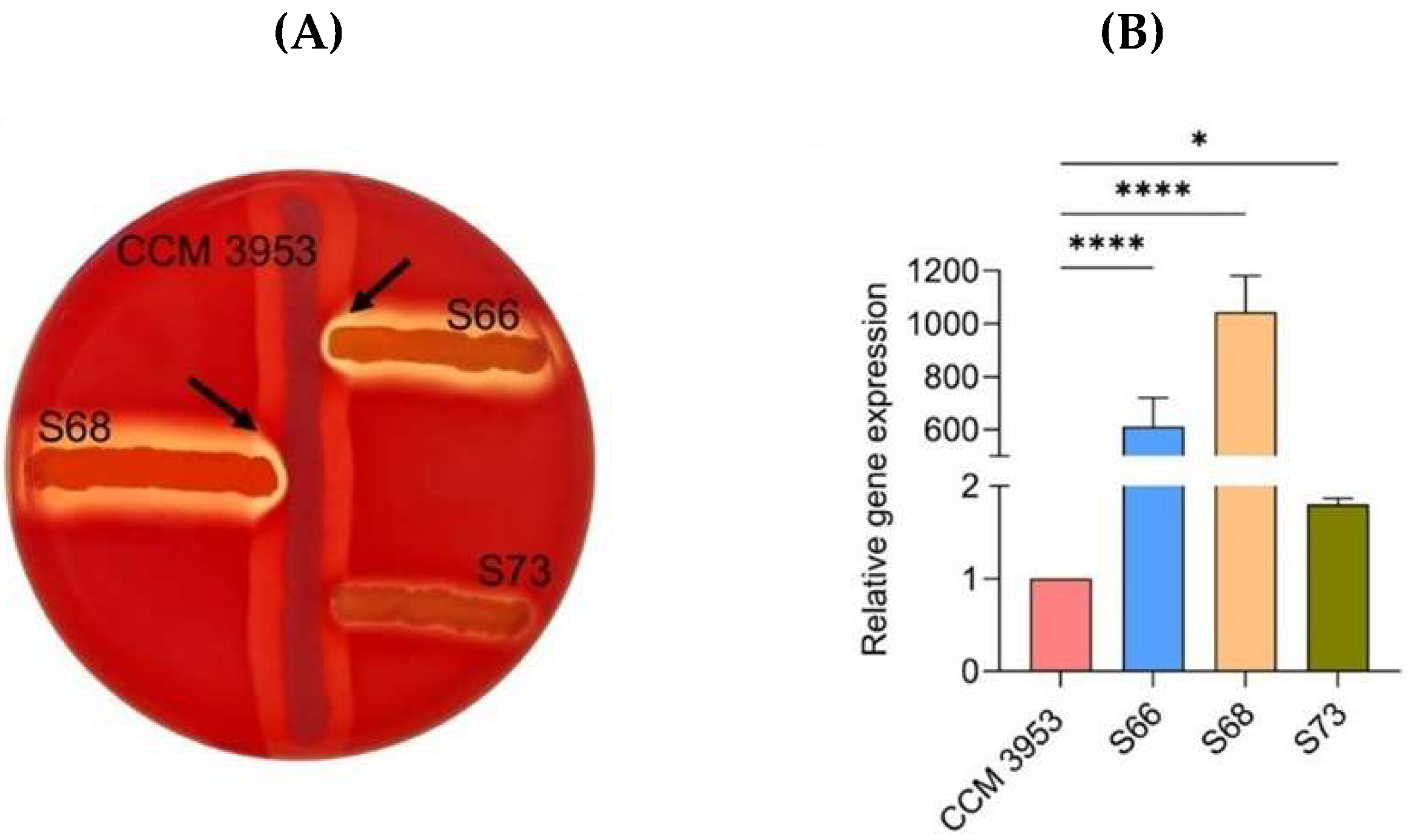 Antibiotics 14 01010 g002
