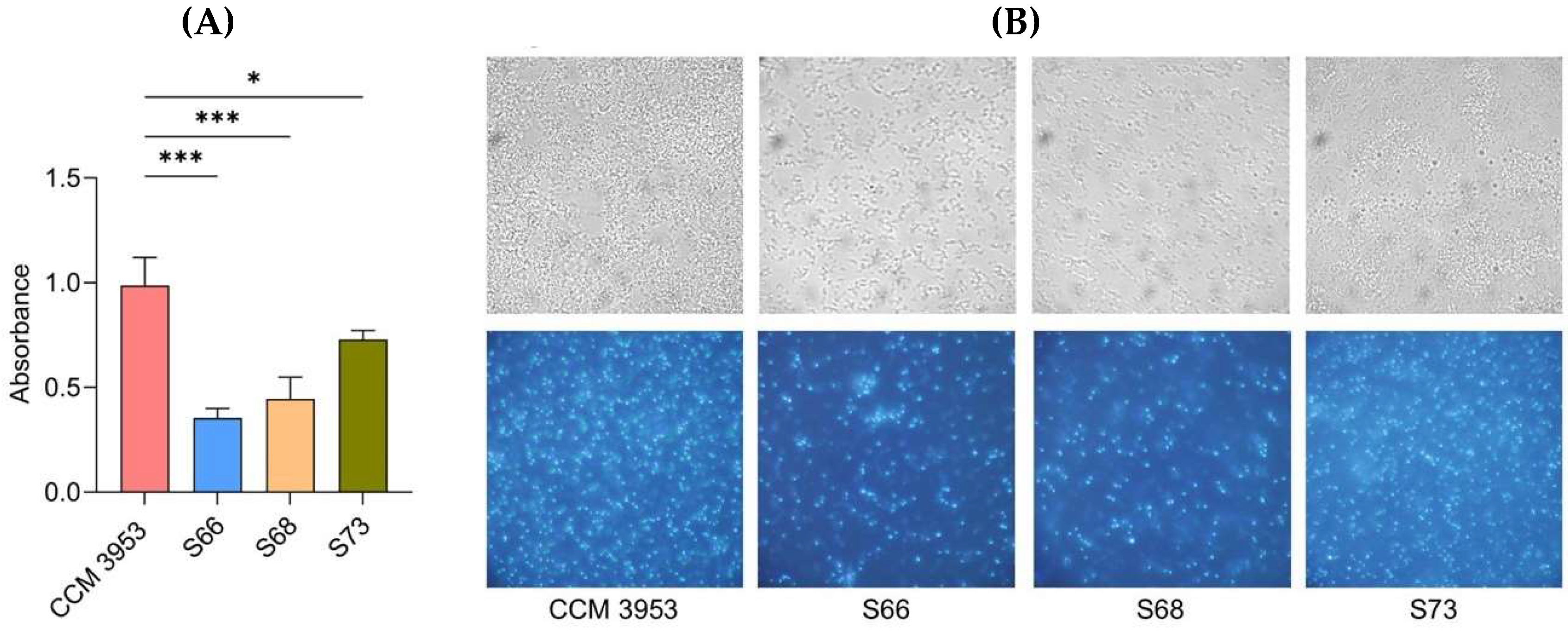 Antibiotics 14 01010 g003