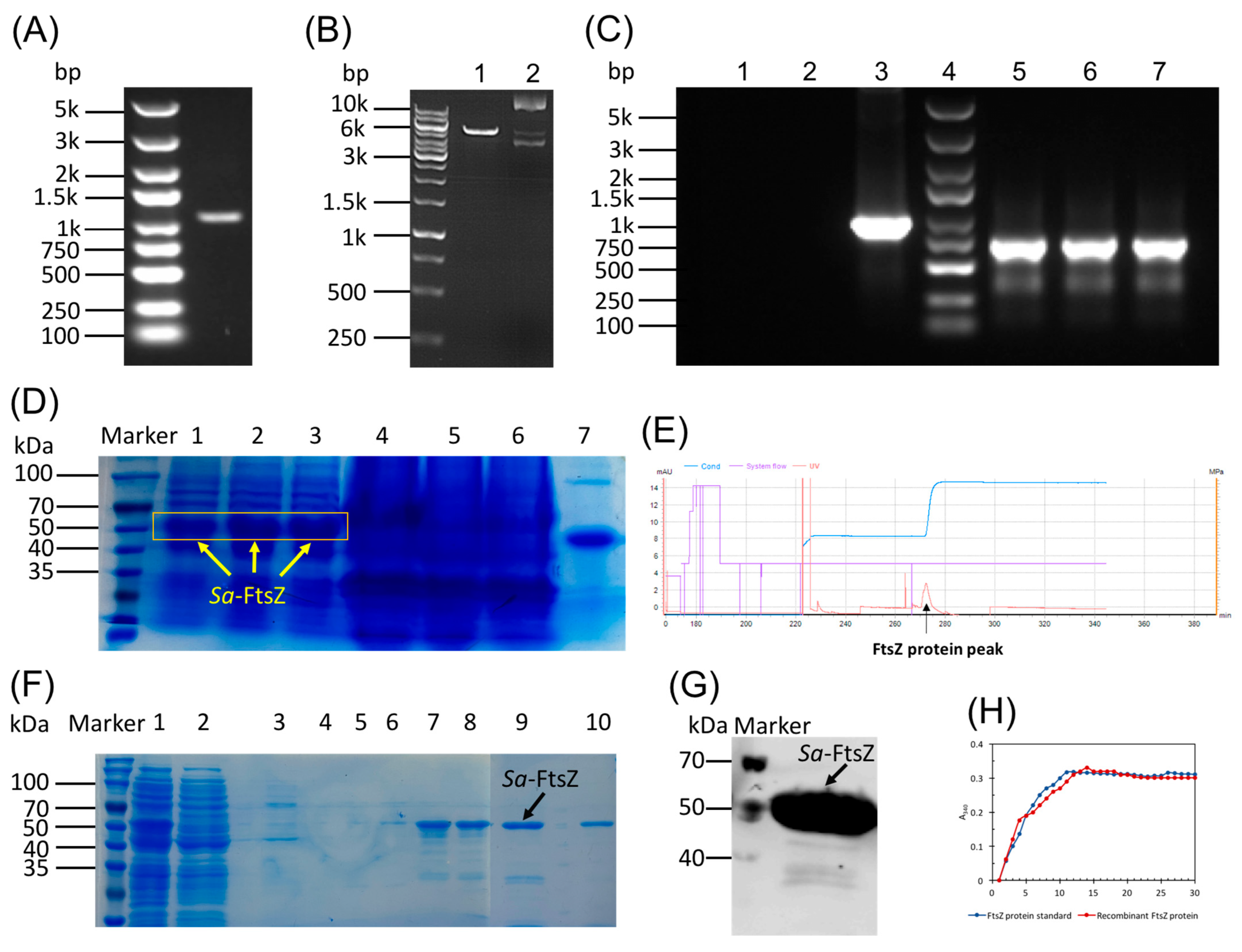 Antibiotics 14 01014 g002