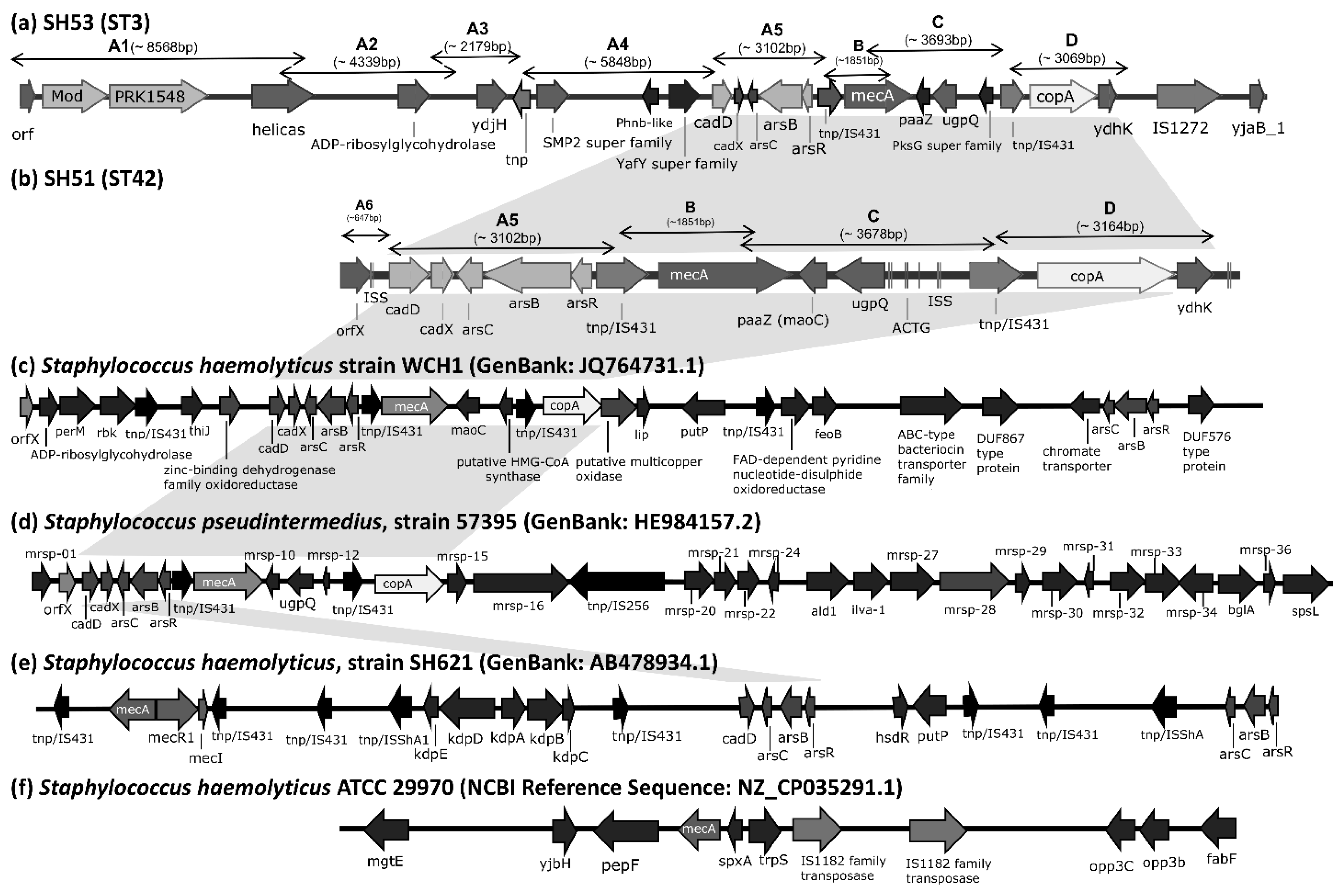 Antibiotics 14 01015 g001