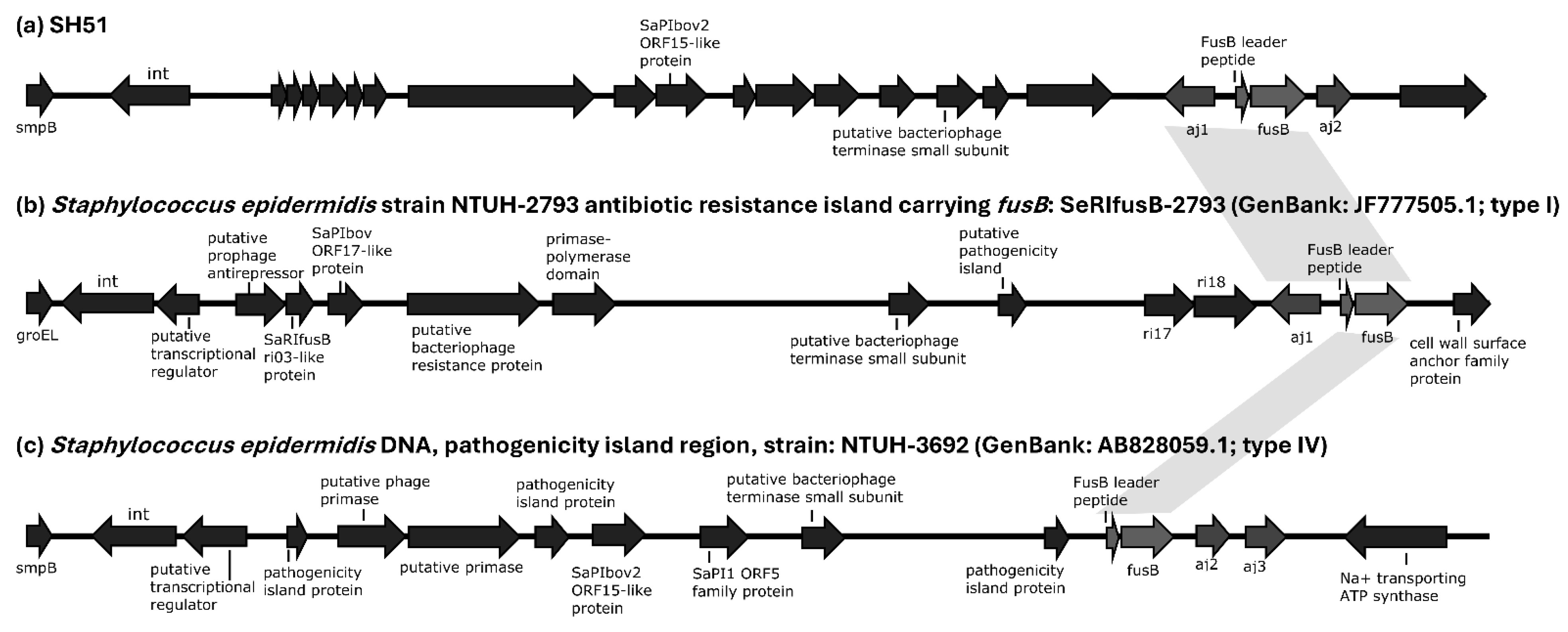 Antibiotics 14 01015 g003