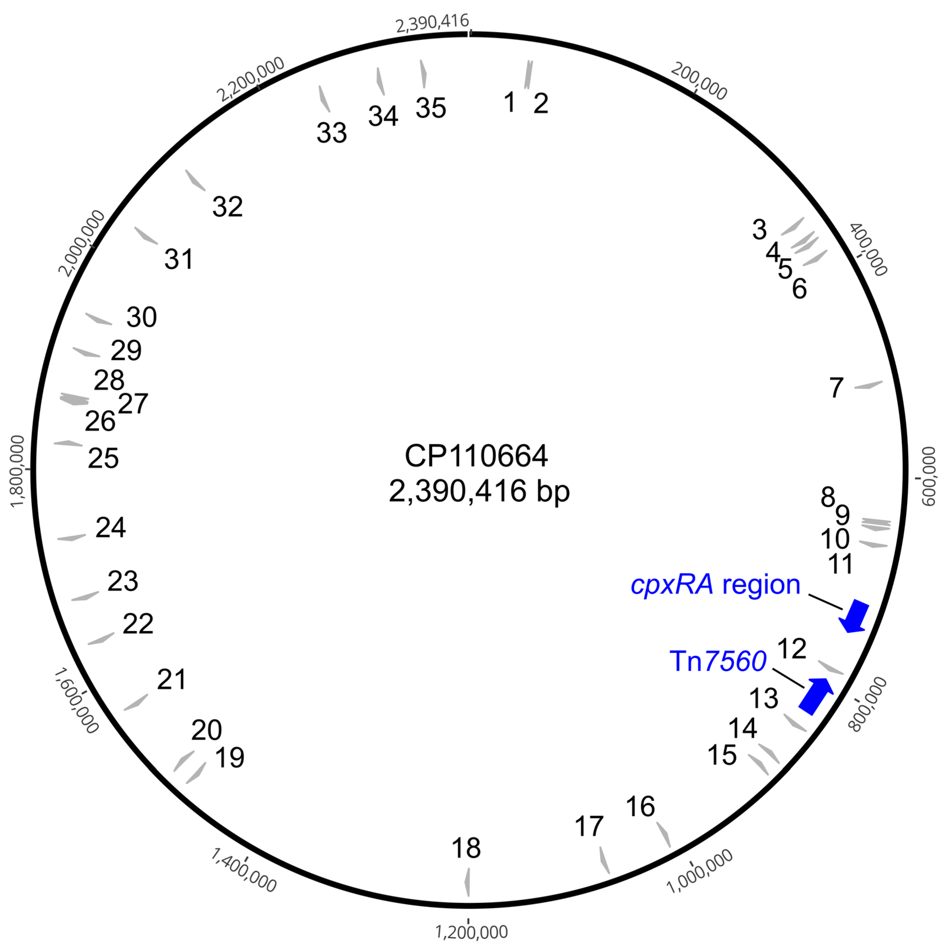 Antibiotics 14 01021 g001