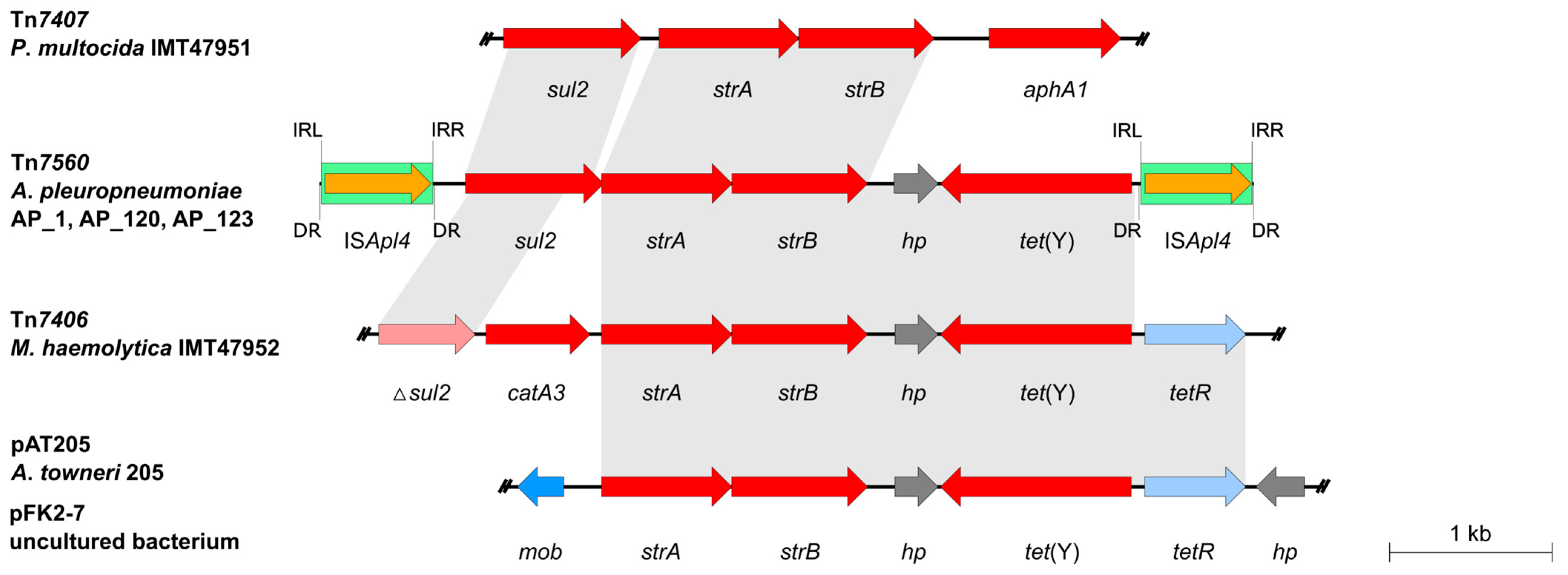 Antibiotics 14 01021 g002
