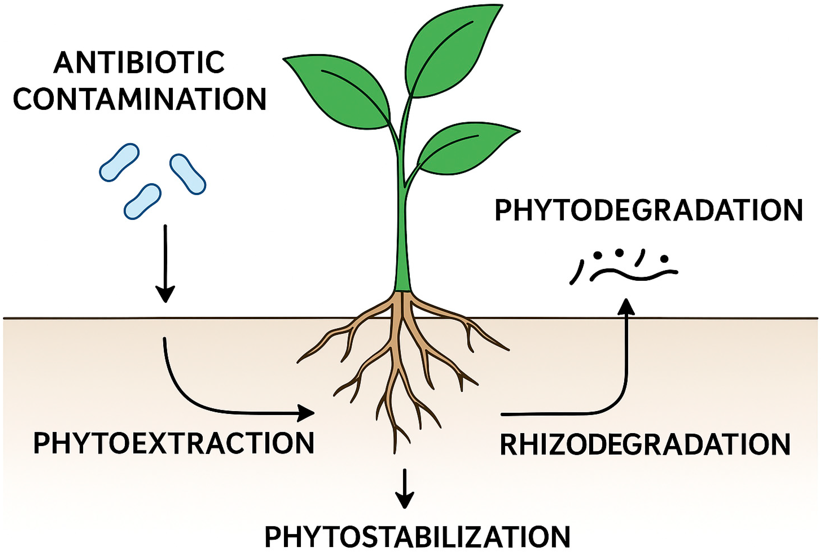 Antibiotics 14 01031 g001 Antibiotics 14 01031 g001
