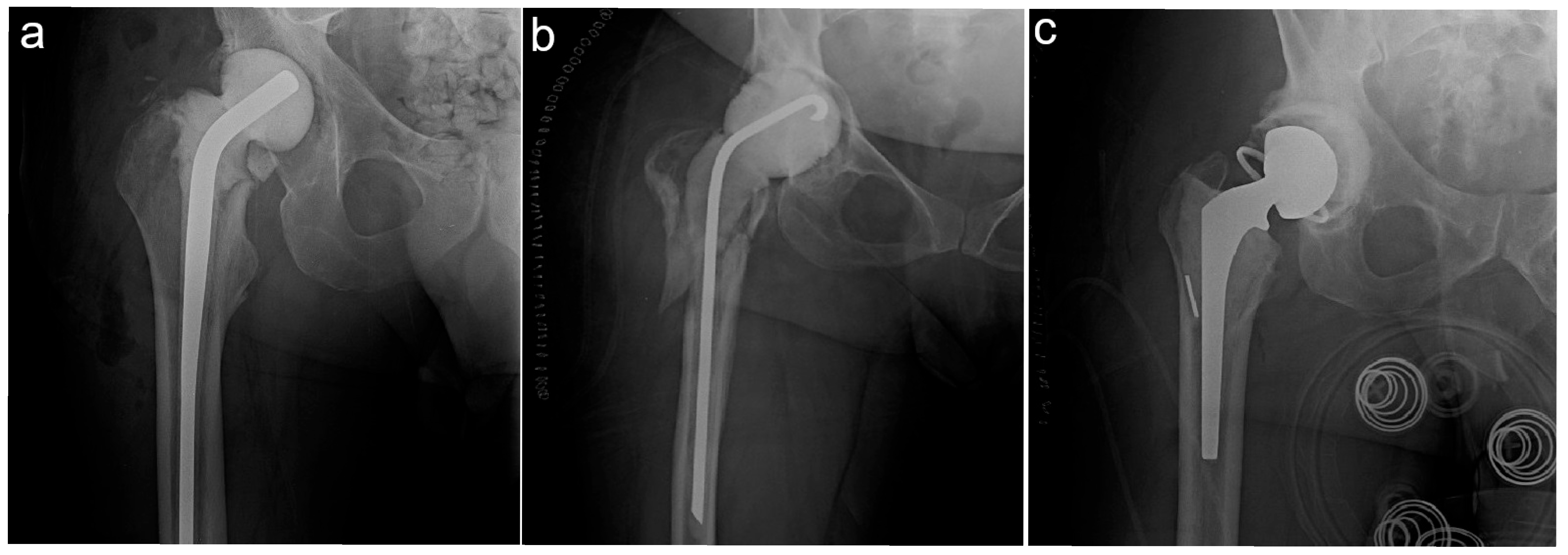 Antibiotics 14 01034 g001