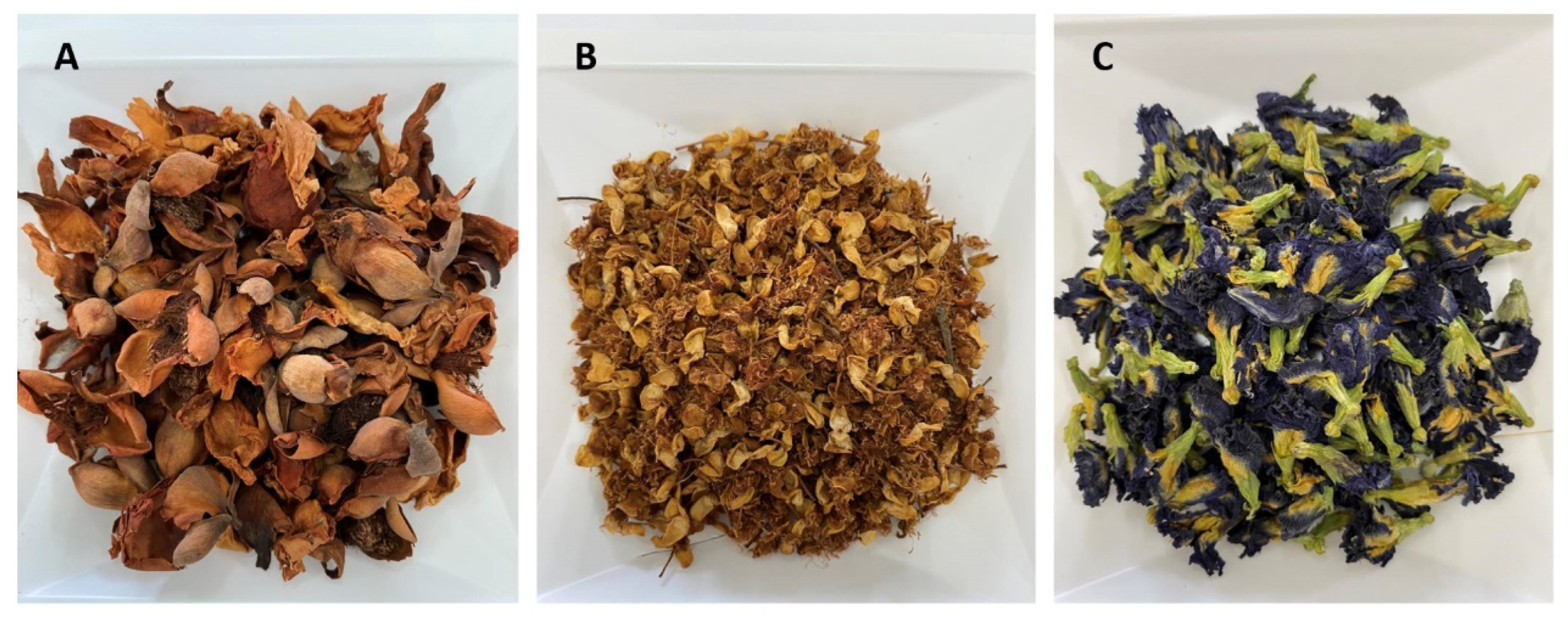 Antibiotics 14 01038 g012