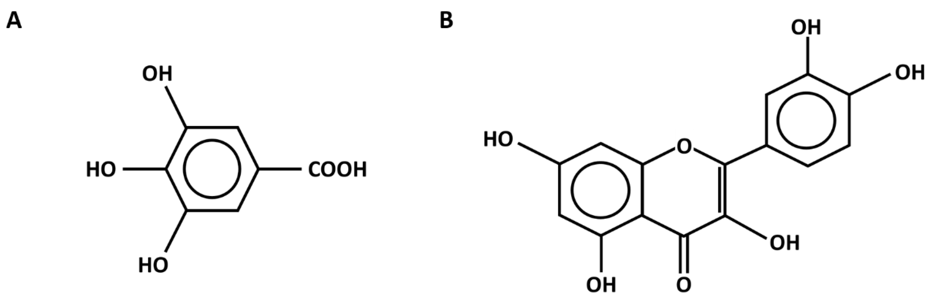 Antibiotics 14 01038 g013