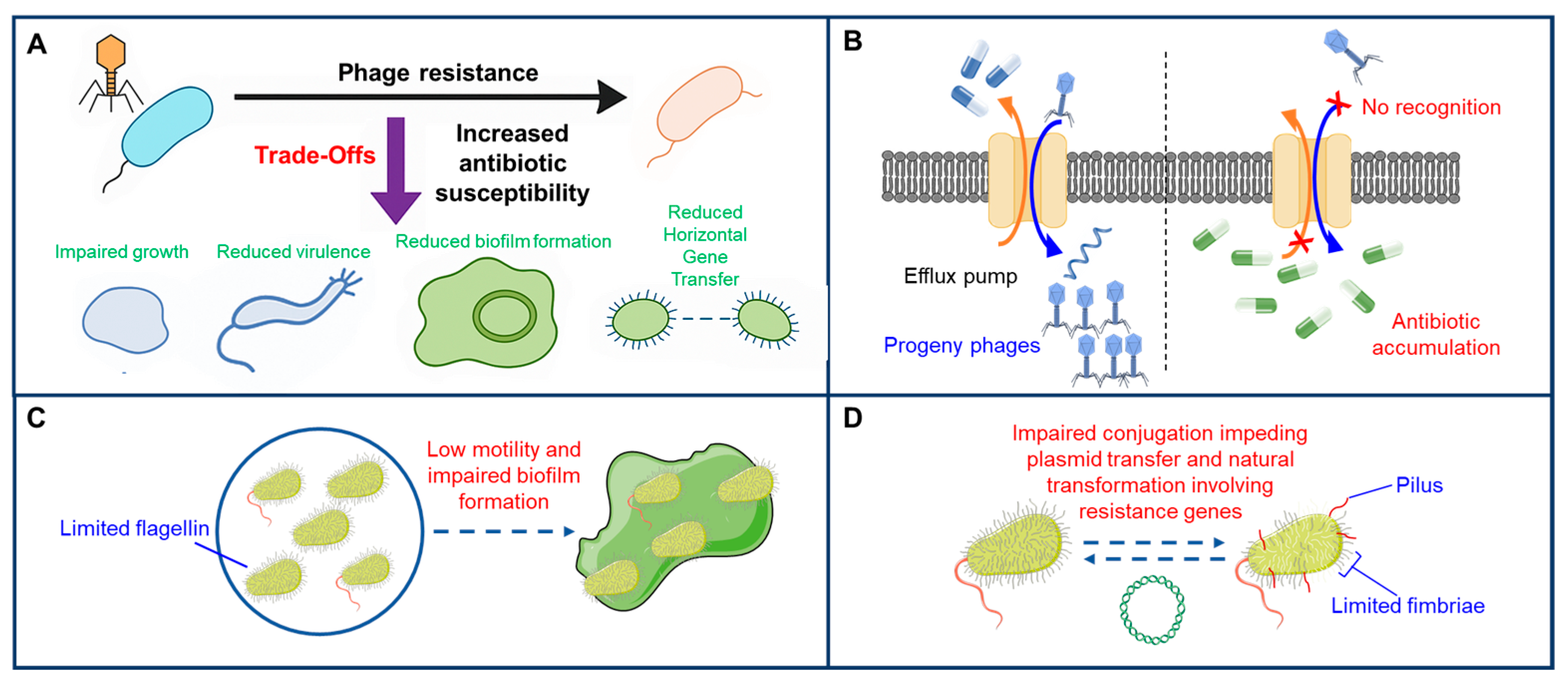 Antibiotics 14 01040 g002 Antibiotics 14 01040 g002