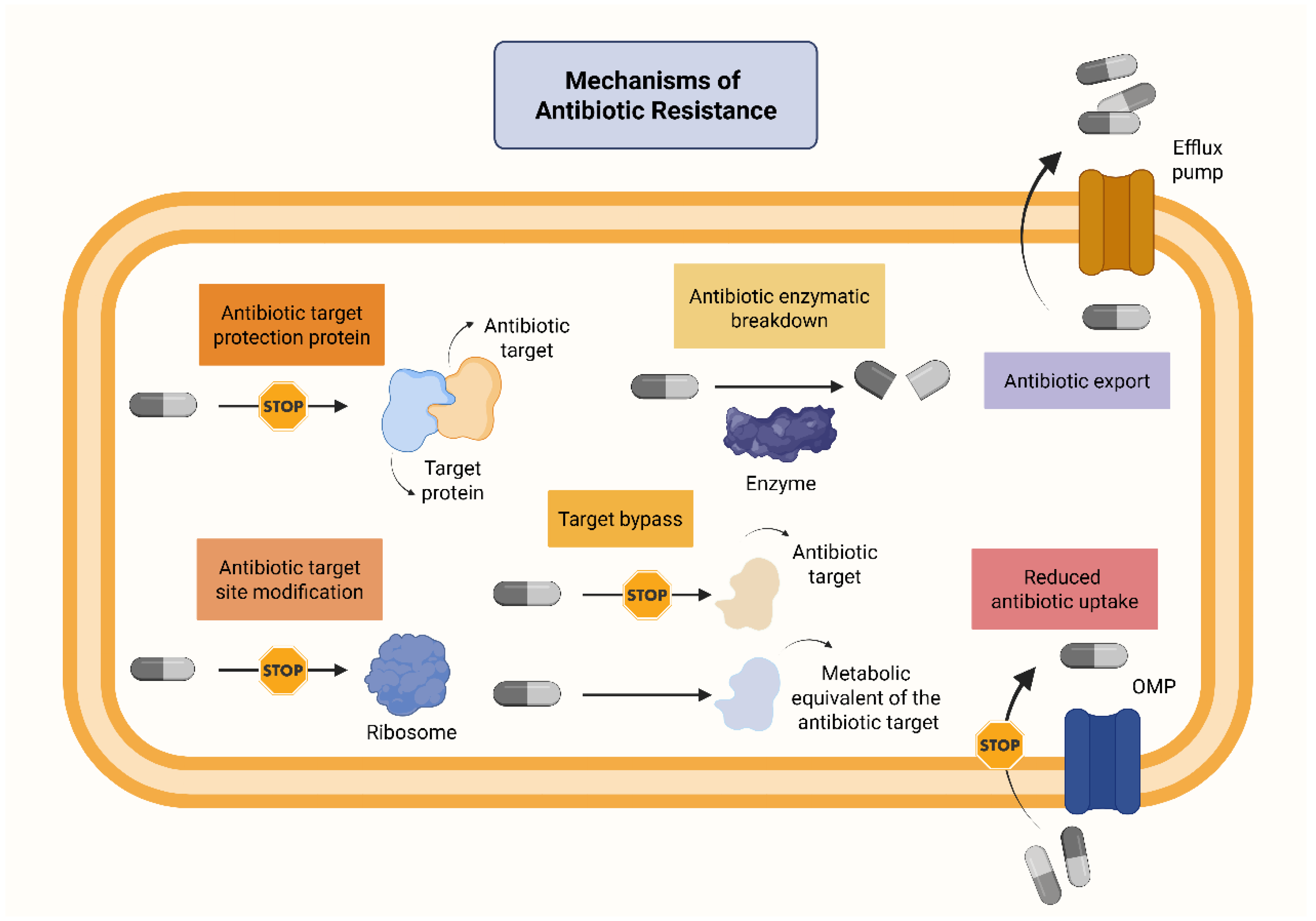 Antibiotics 14 01042 g001 Antibiotics 14 01042 g001