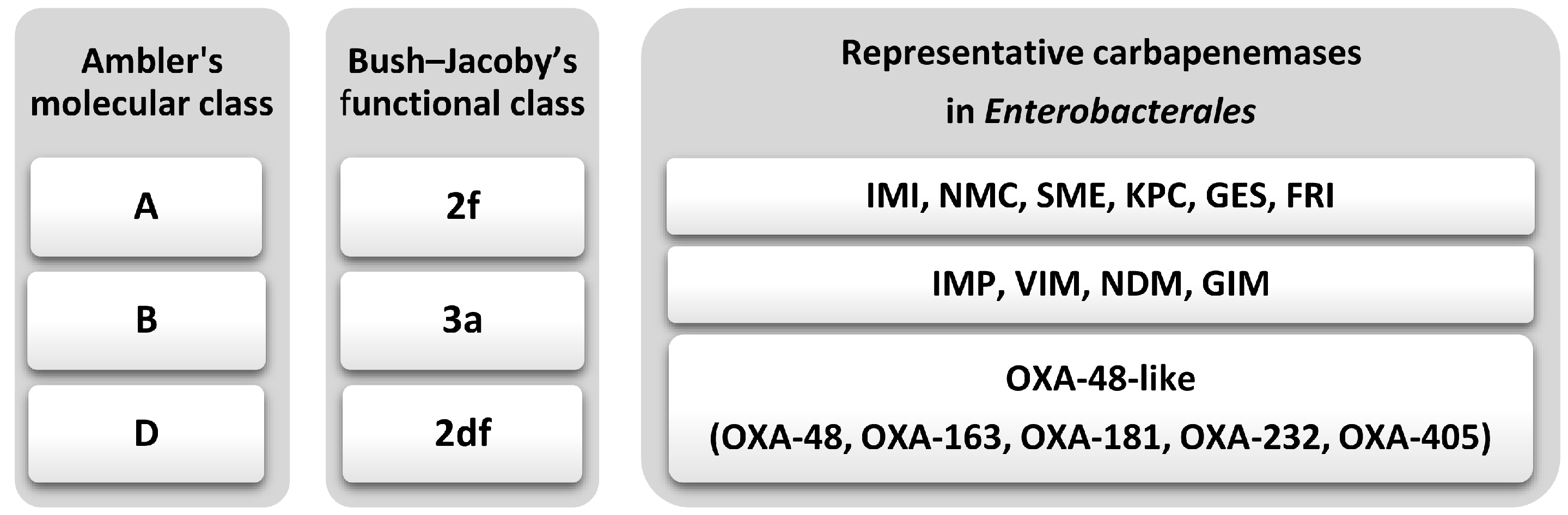 Antibiotics 14 01045 g001
