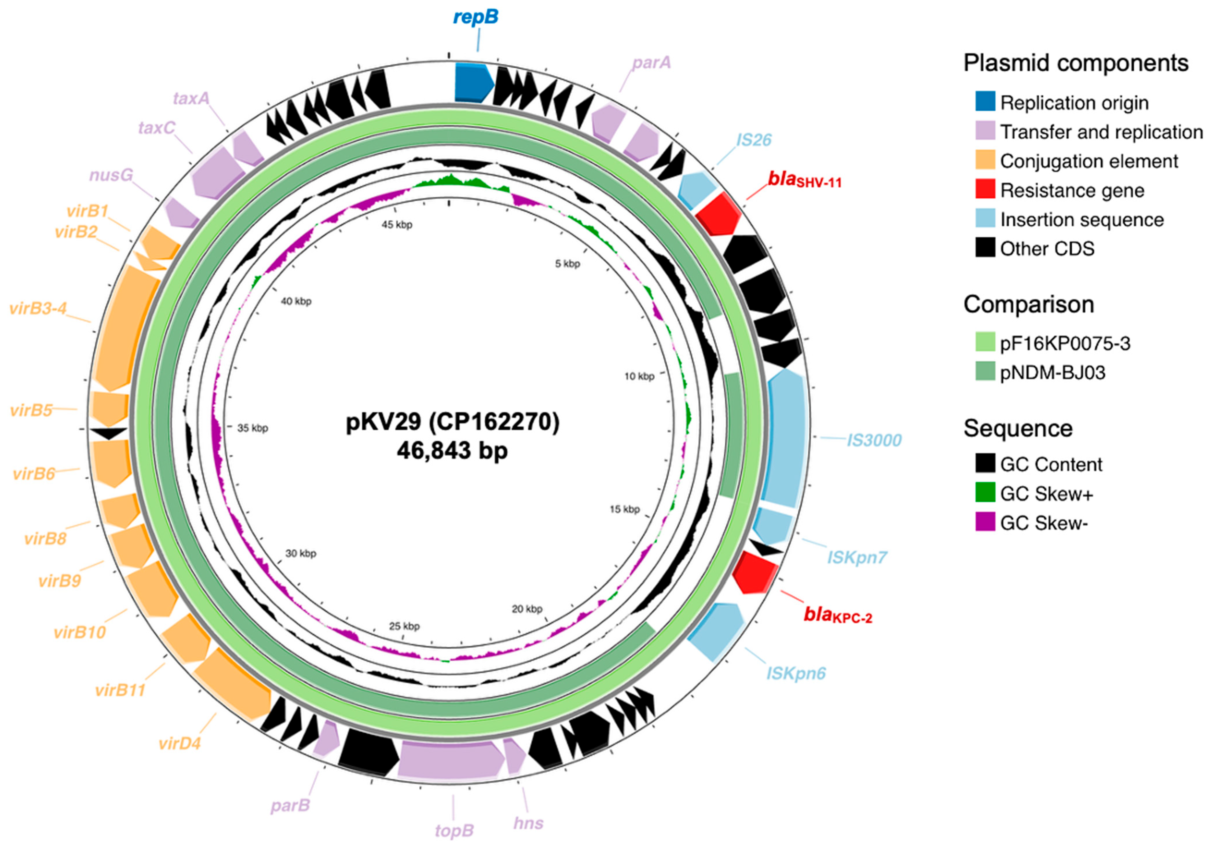 Antibiotics 14 01046 g003