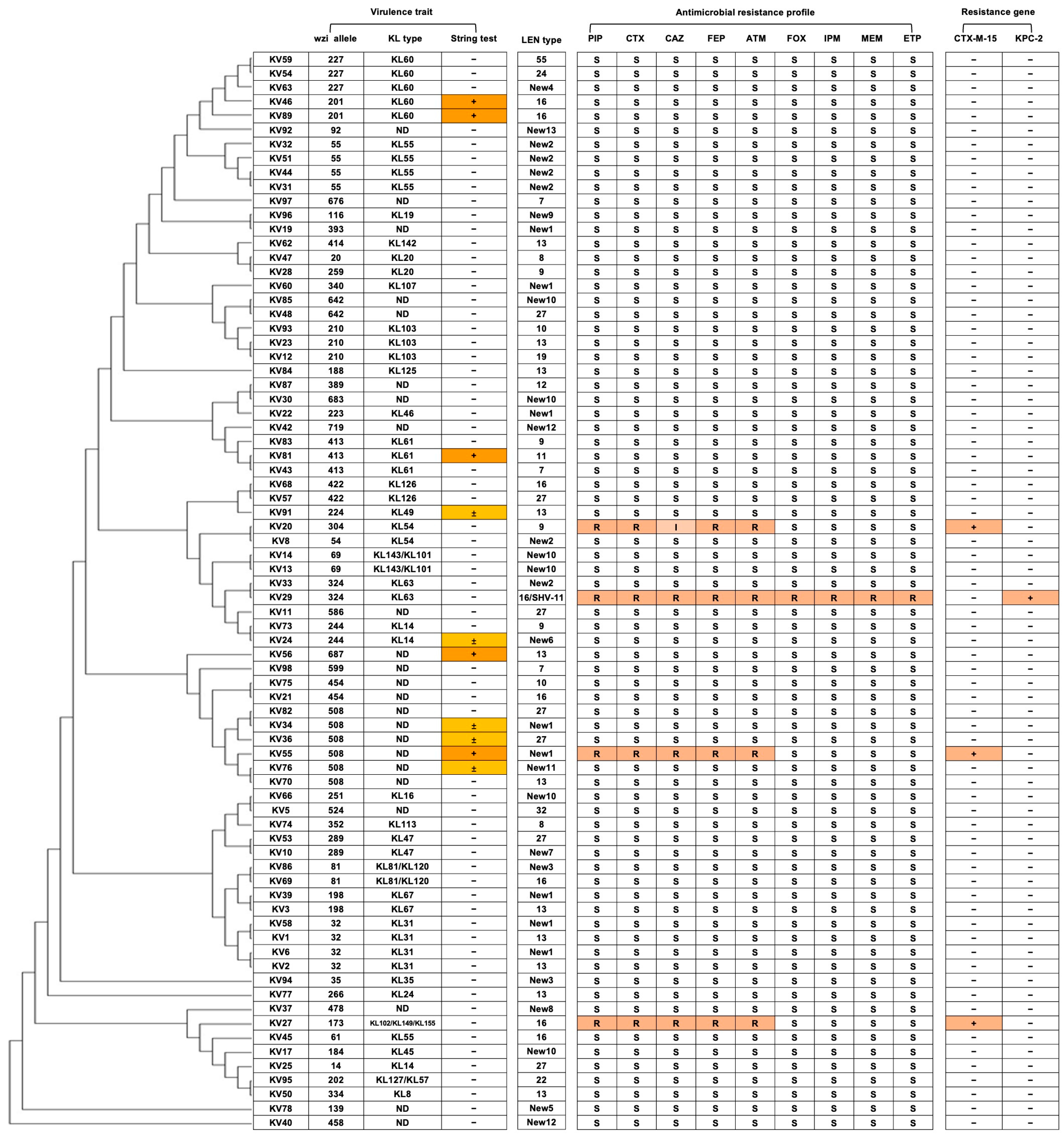 Antibiotics 14 01046 g004