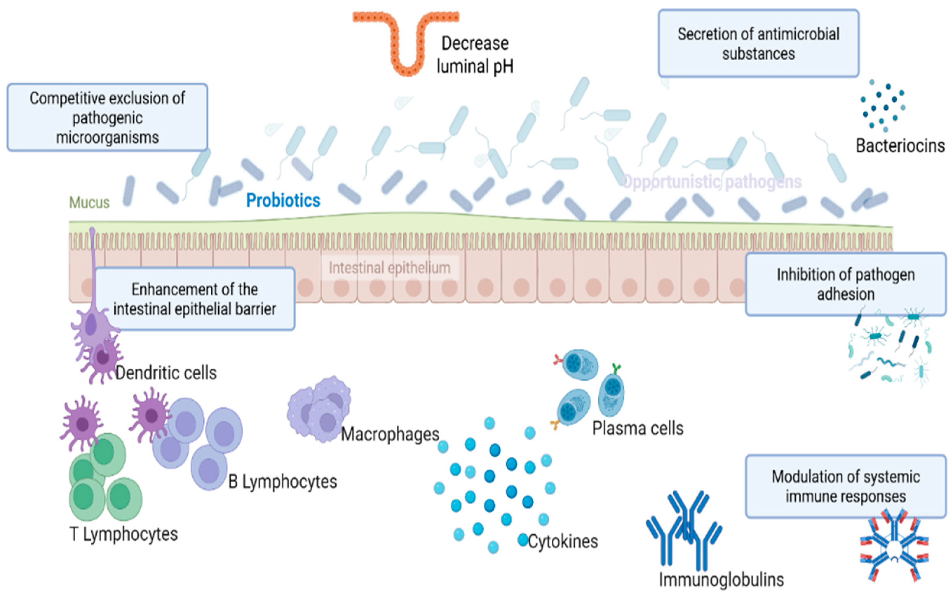 Antibiotics 14 01054 g002