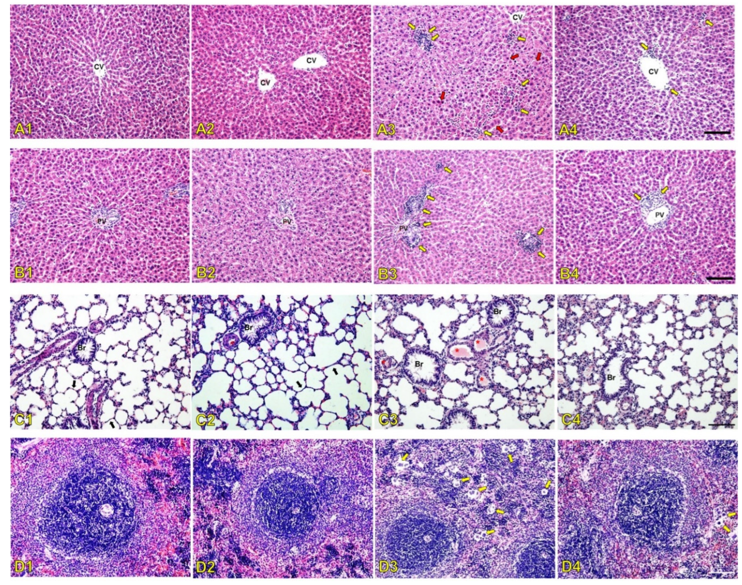 Antibiotics 14 01062 g004