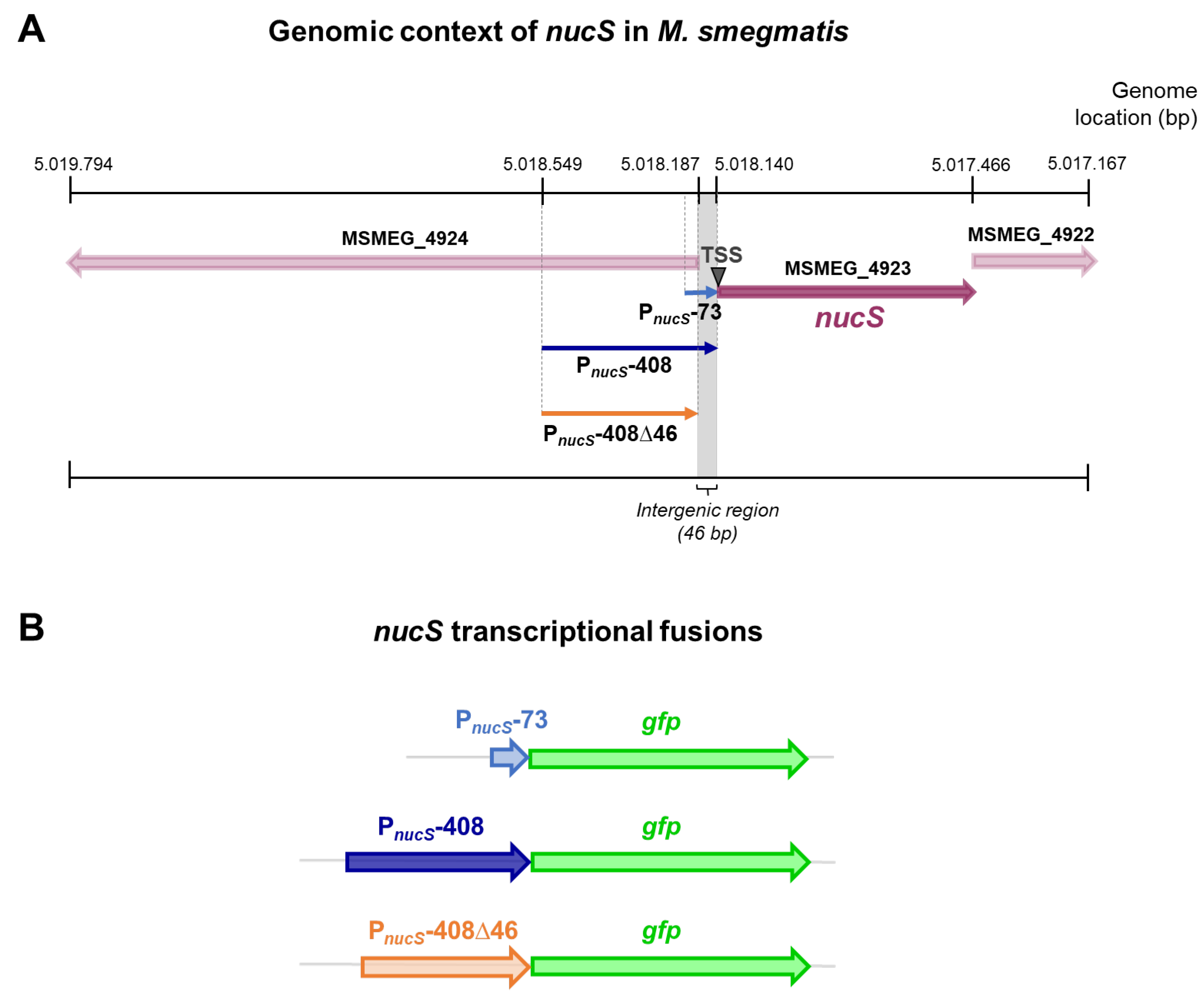 Antibiotics 14 01065 g002